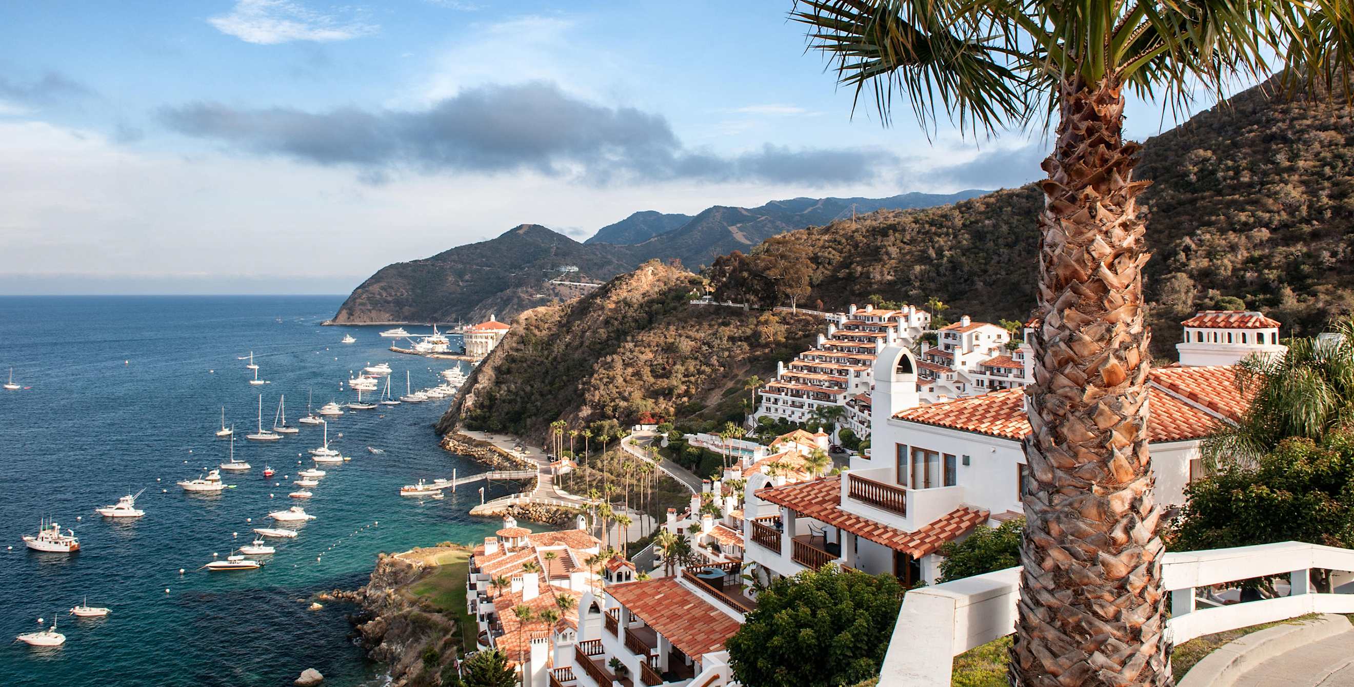 elevated view of Hamilton Cove on Catalina Island, California.