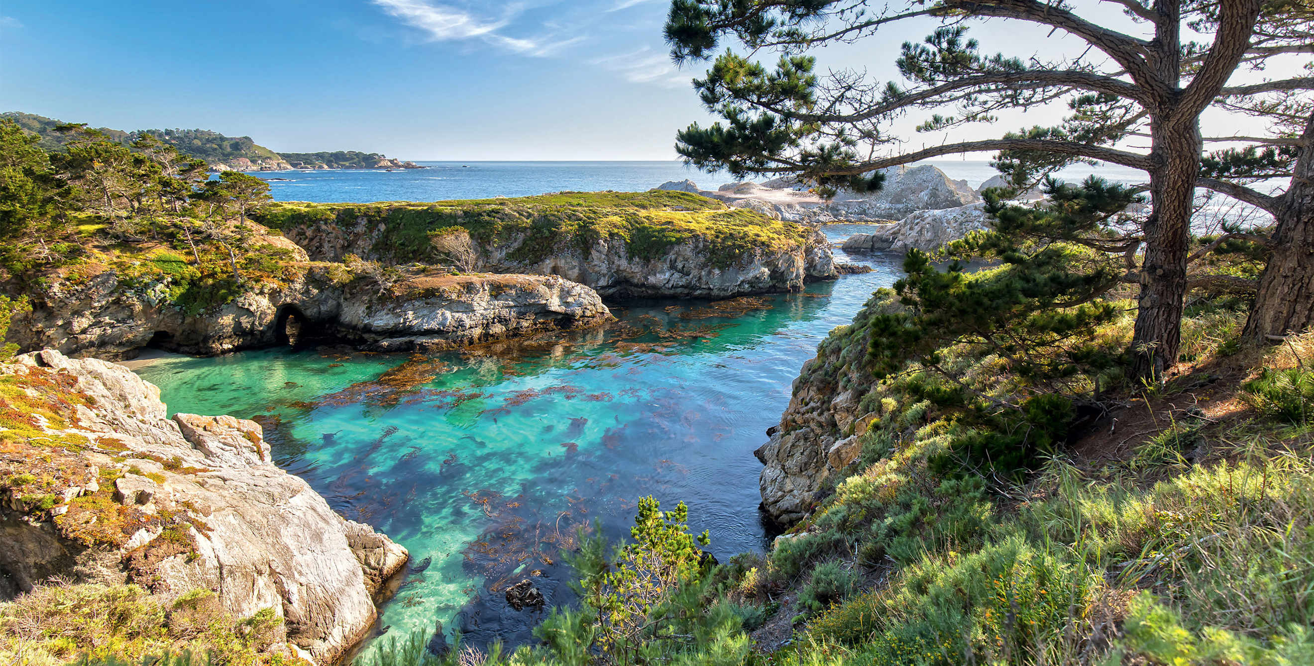 pair of Monterey pines tower above China Cove at Point Lobos State Natural Reserve near Carmel, California