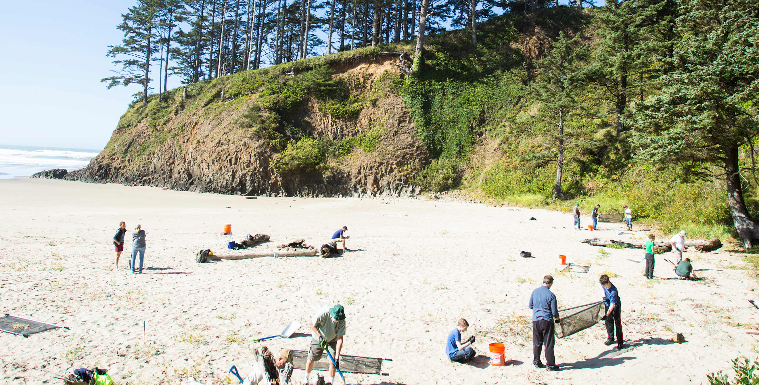 volunteers sift microplastics from the sand in Cannon Beach, Oregon.