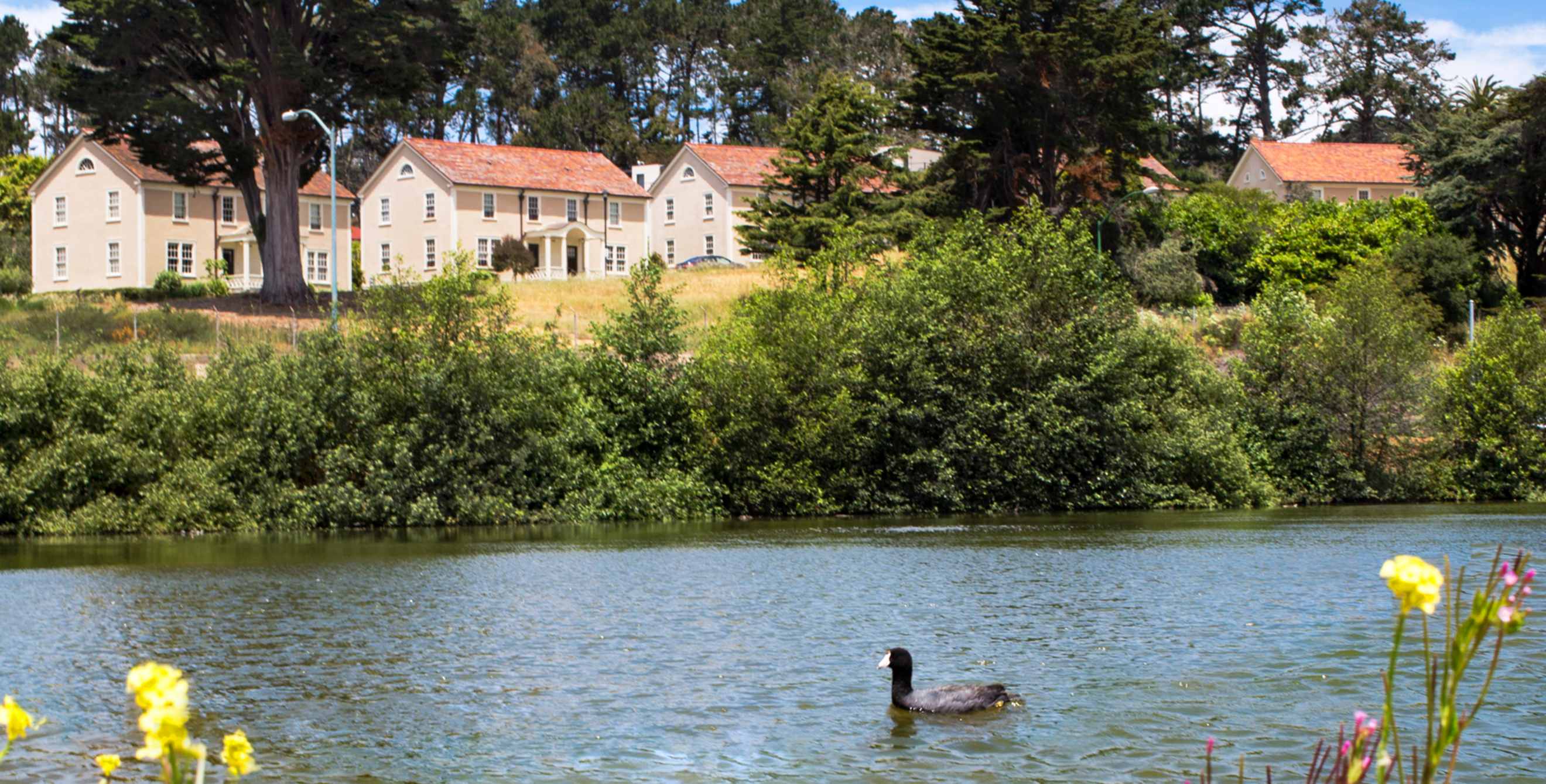 Mountain Lake at the Presidio in San Francisco, California, picture