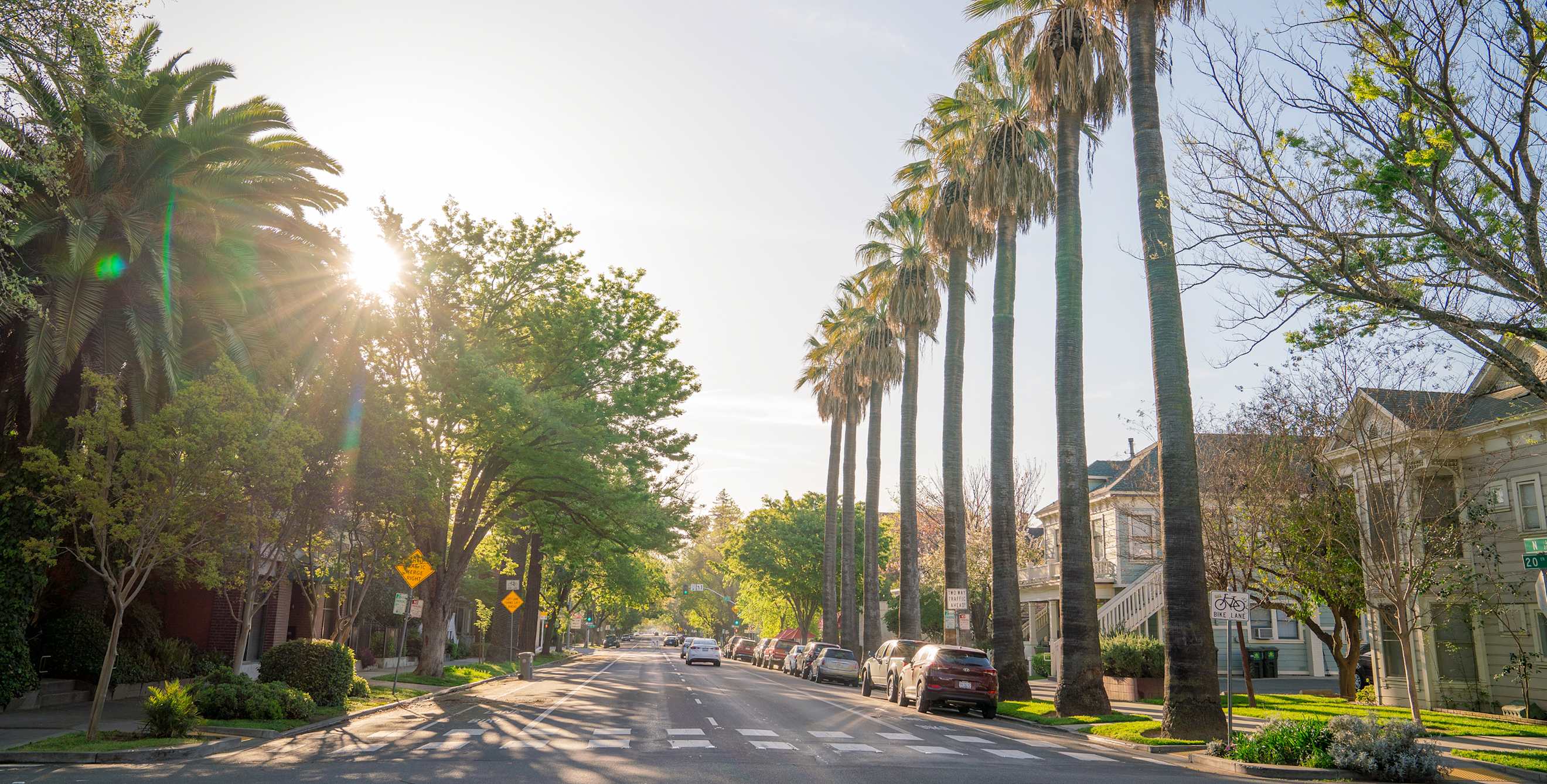 Beautiful tree-lined street with historic homes in Midtown Sacramento