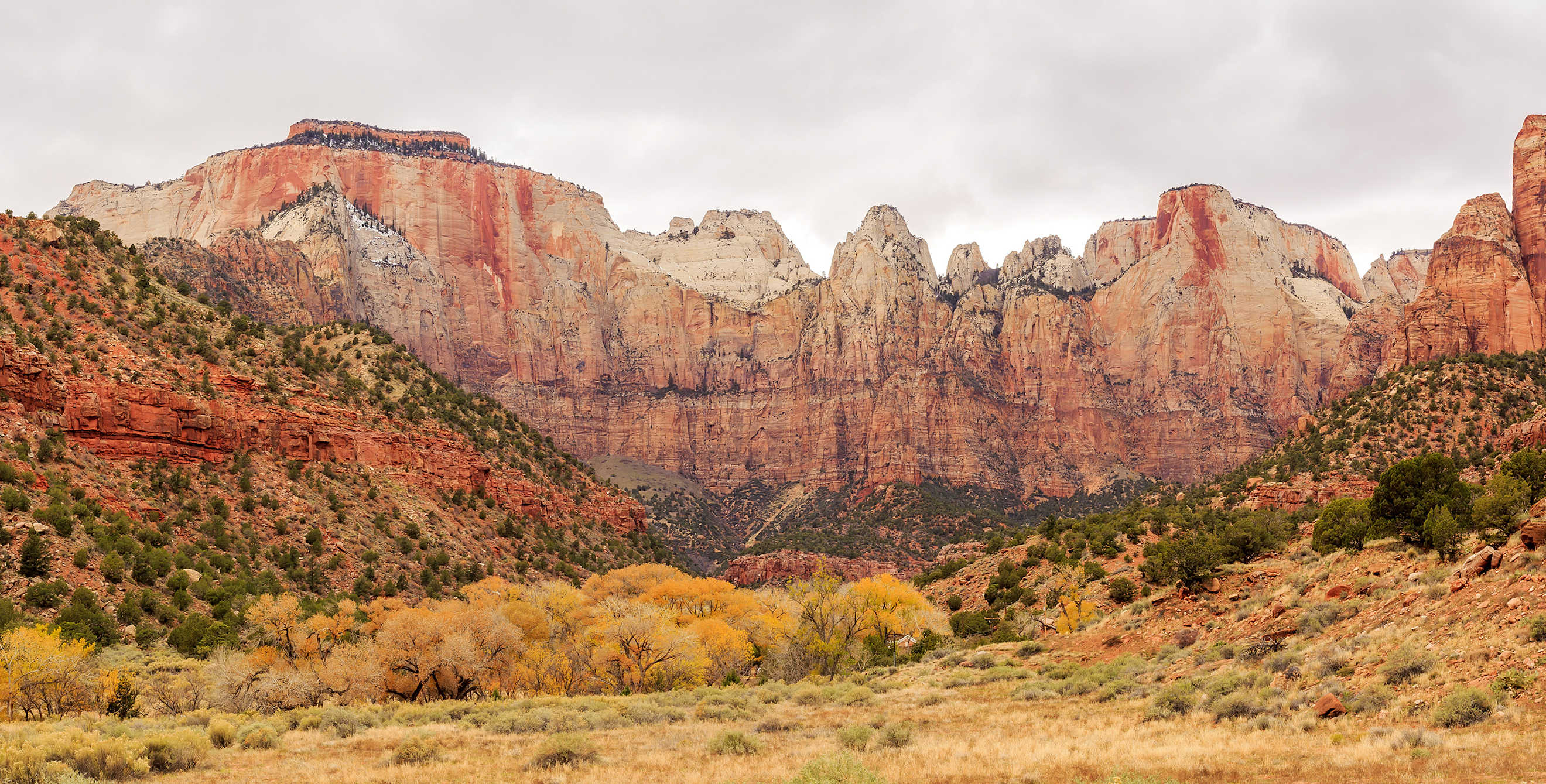 Autumn color in Zion National Park.