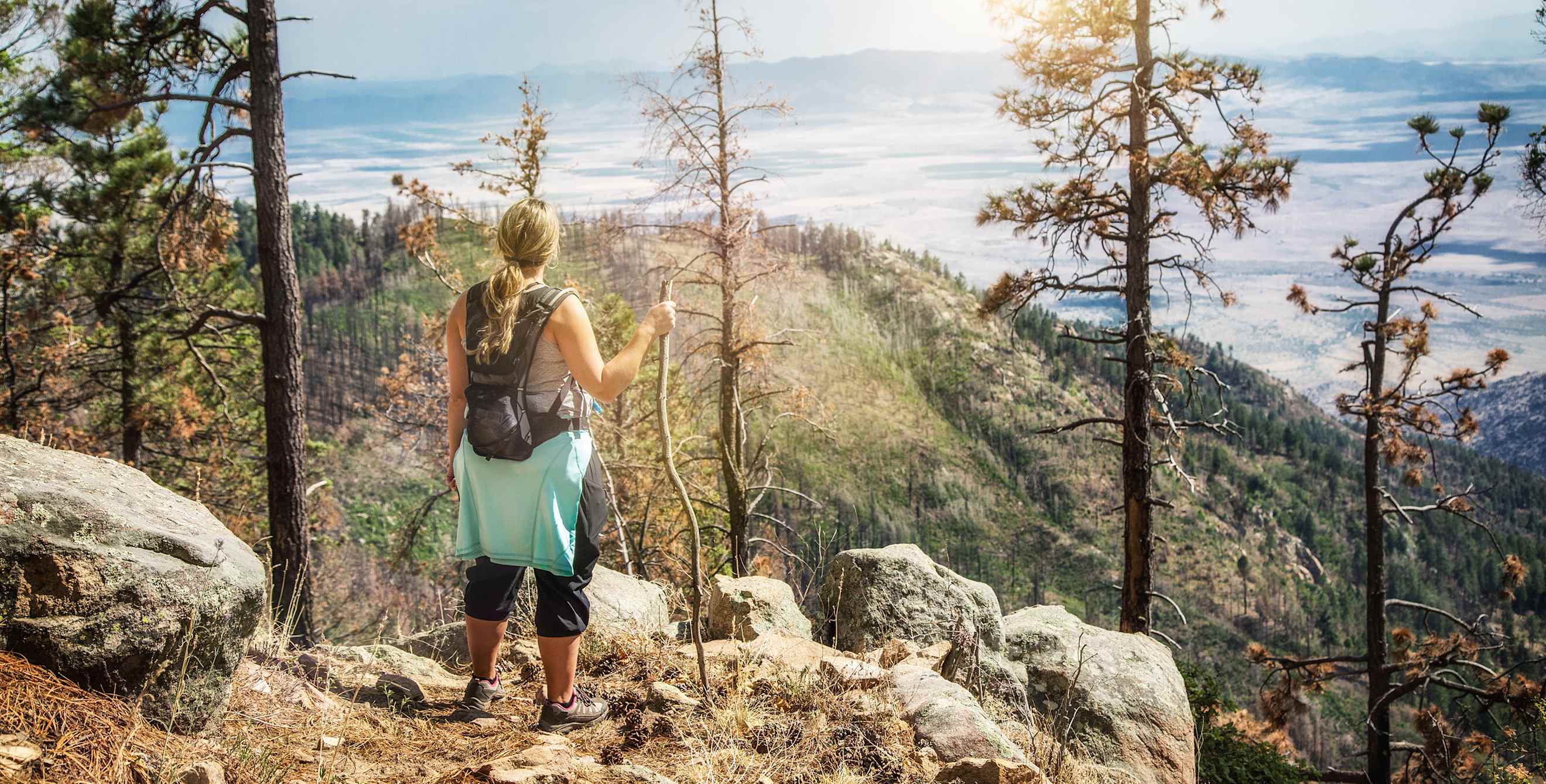 A woman stands on an overlook on a trail on Mount Graham in Arizona, image
