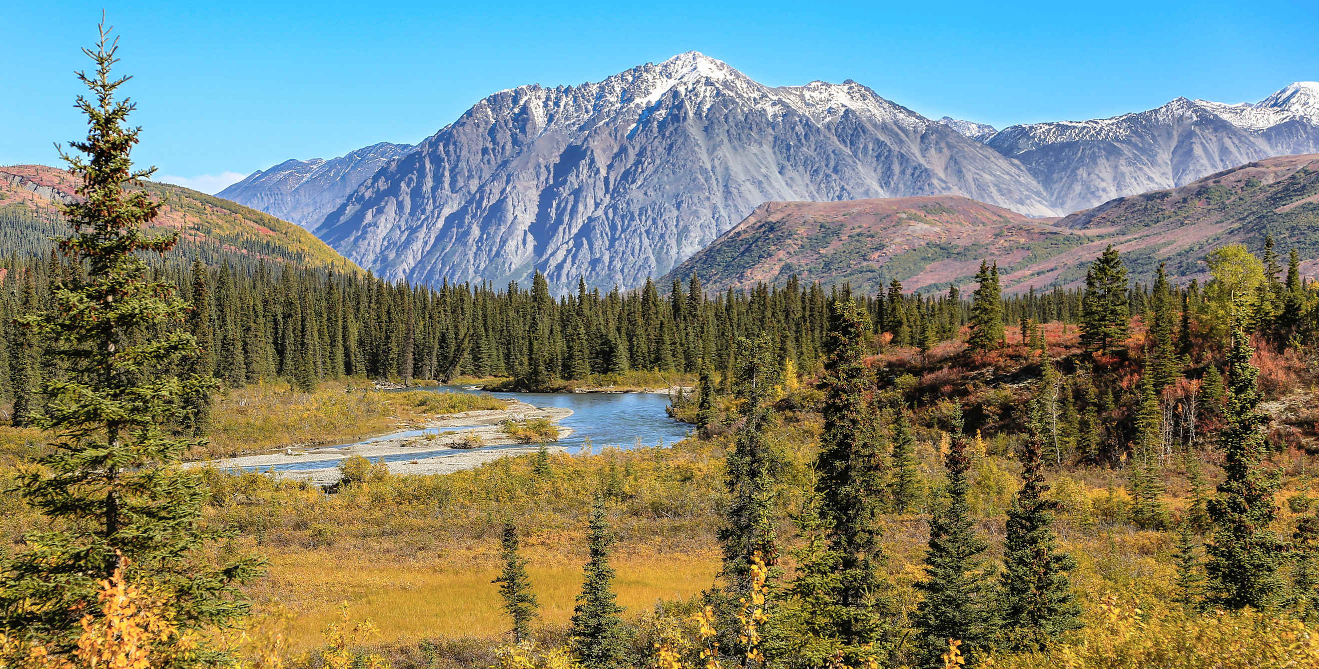 fall landscape at denali national park