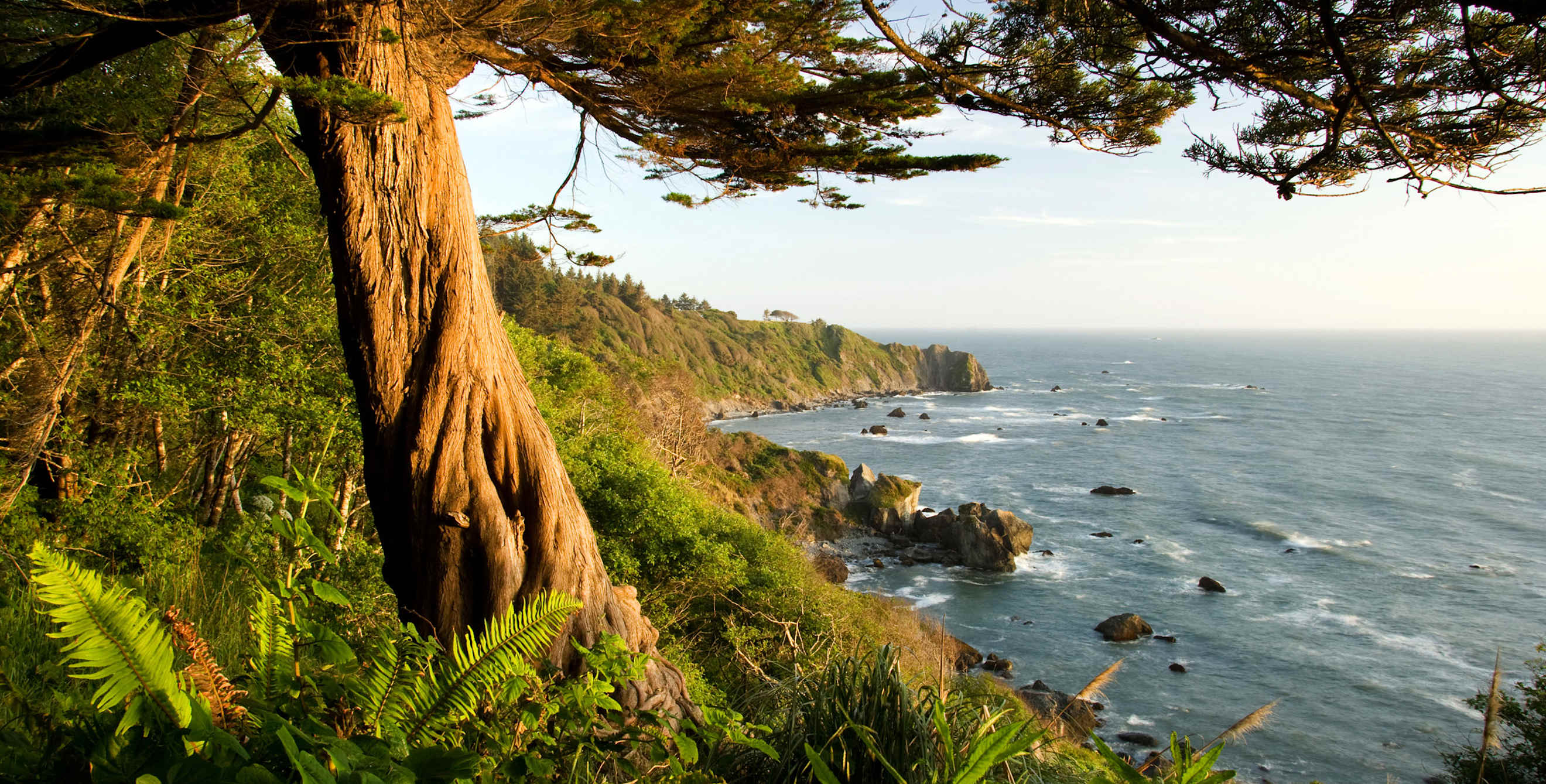 Patrick’s Point ocean view near Trinidad, California