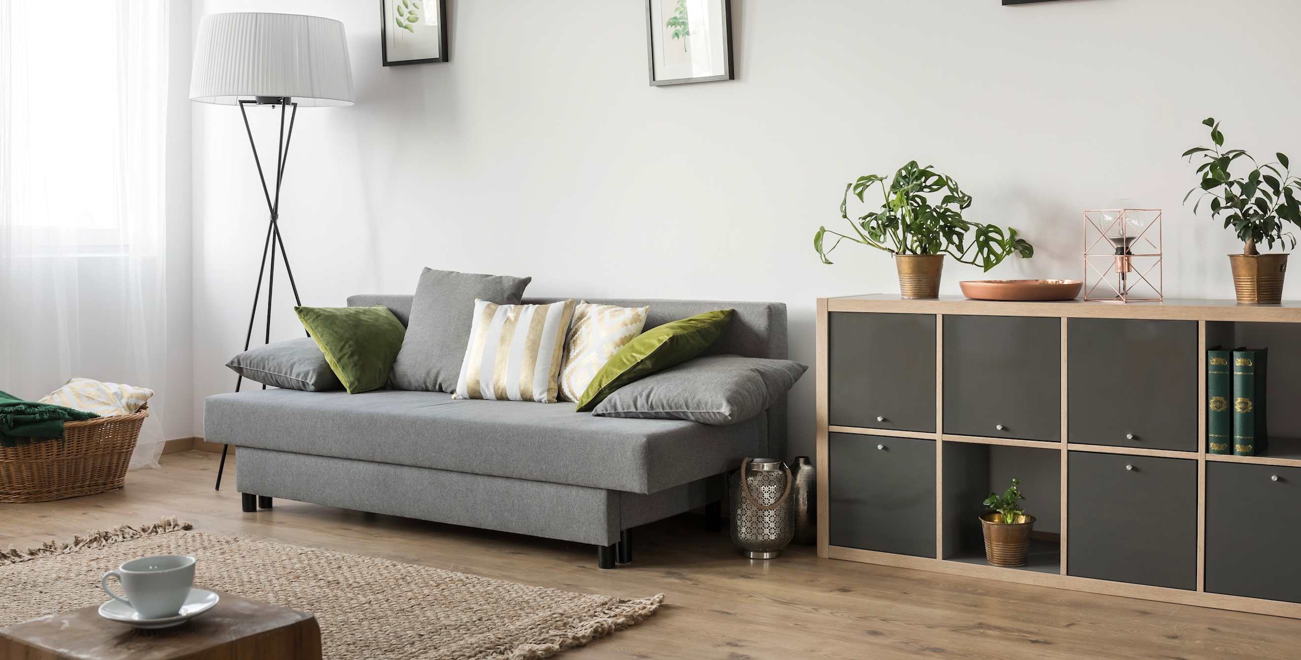 picture of a minimalist living room with a couch, shelf, lamp, and rug.