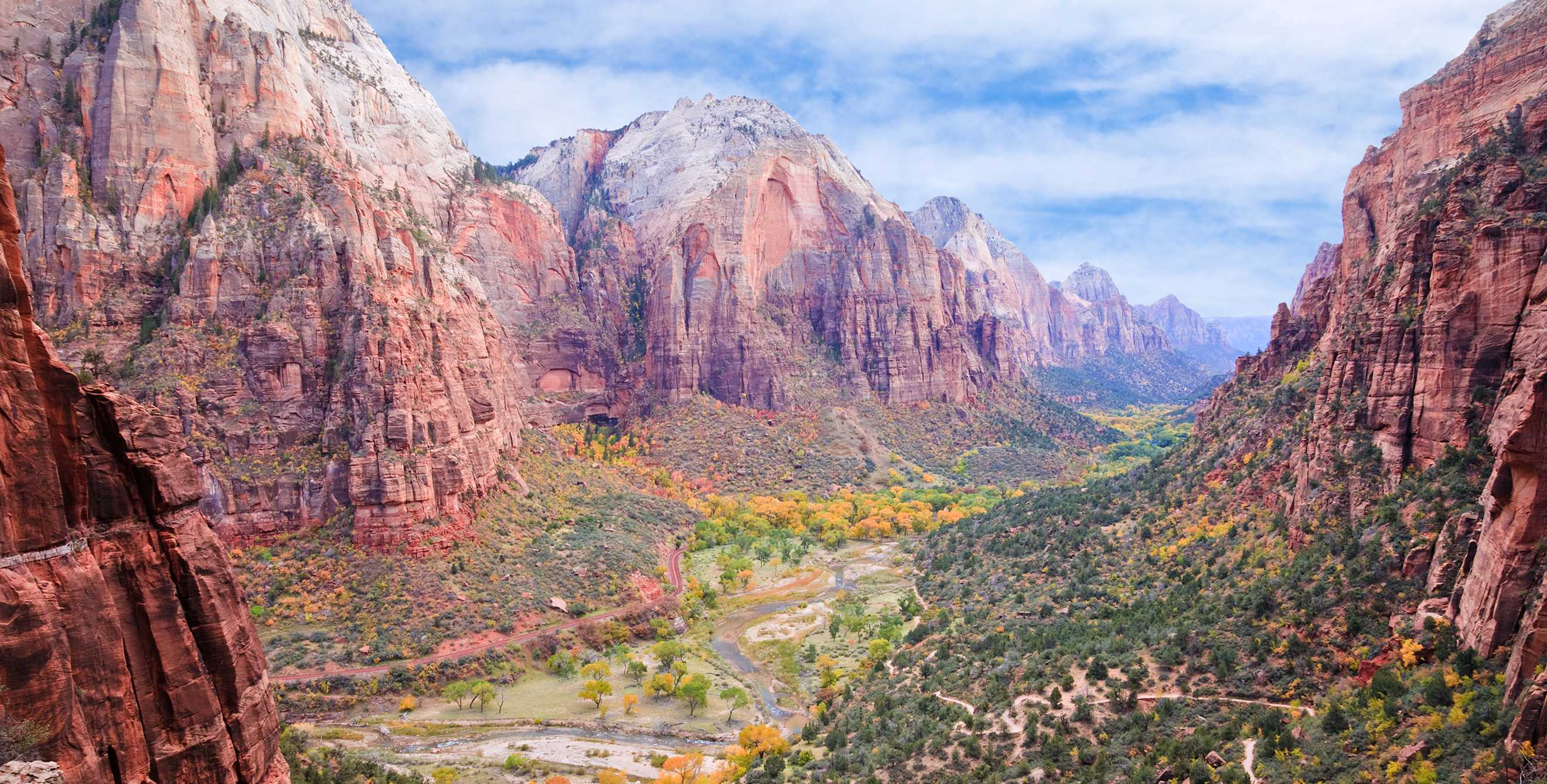 fall colors in Zion National Park, Utah