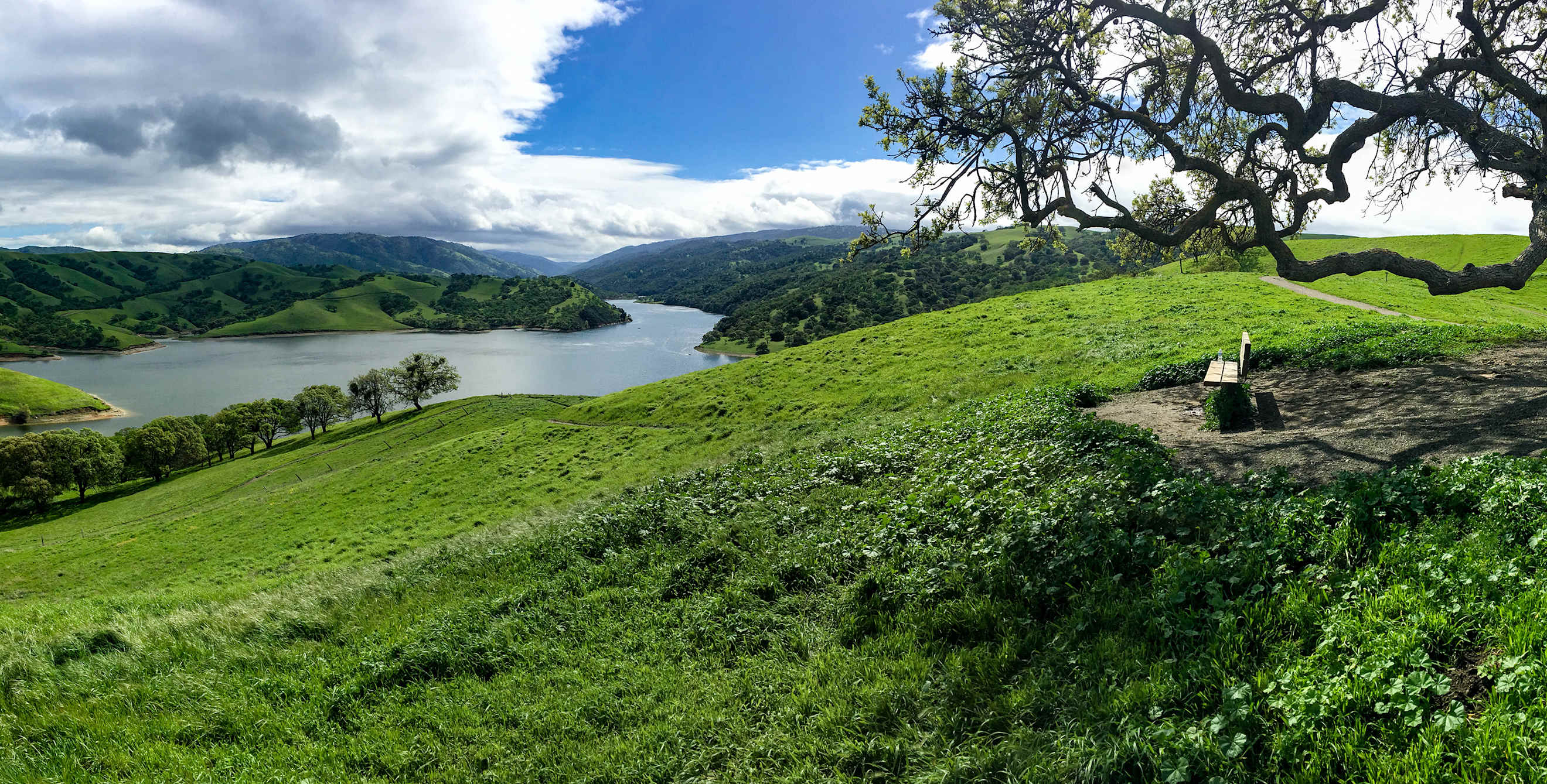 View overlooking Del Valle Regional Park in Livermore, image