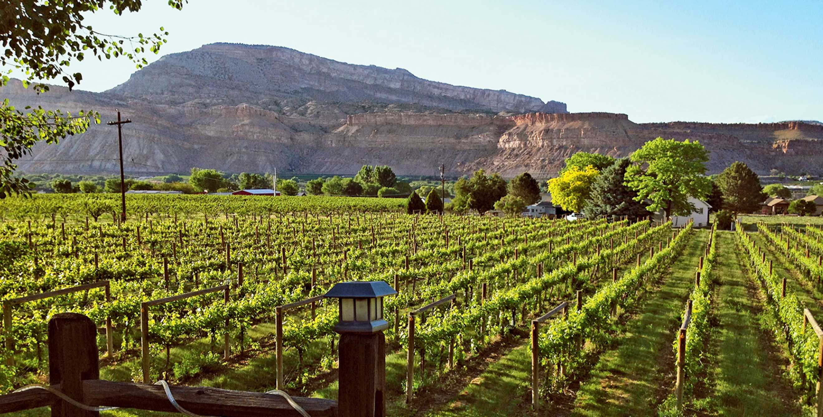 Bookcliff Vineyards has its winery and tasting room in Boulder, Colorado