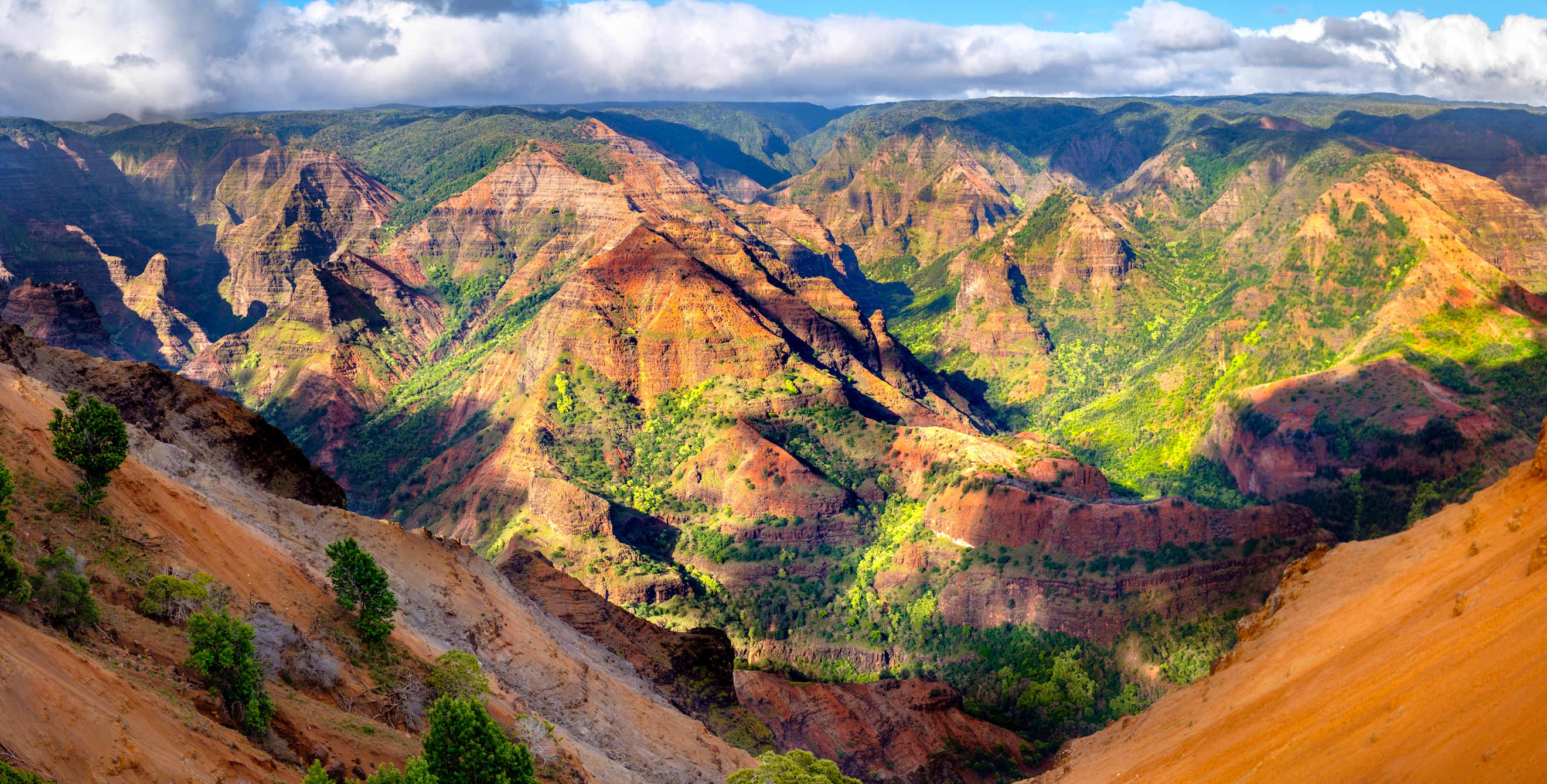 panoramic landscape of Waimea Canyon