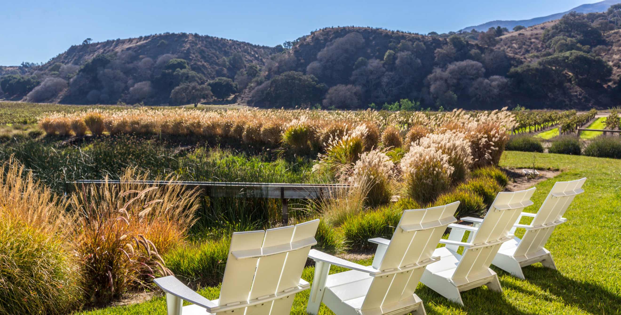 Adirondack chairs at the edge of a pond at Wrath Wines, picture