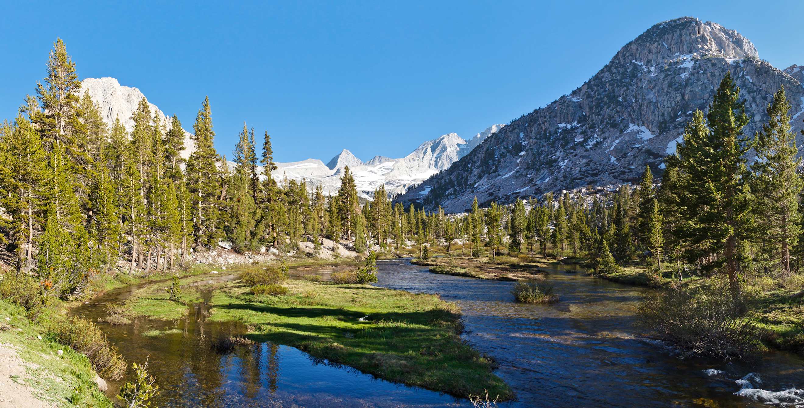 a creek runs through the trees with a mountain in the background
