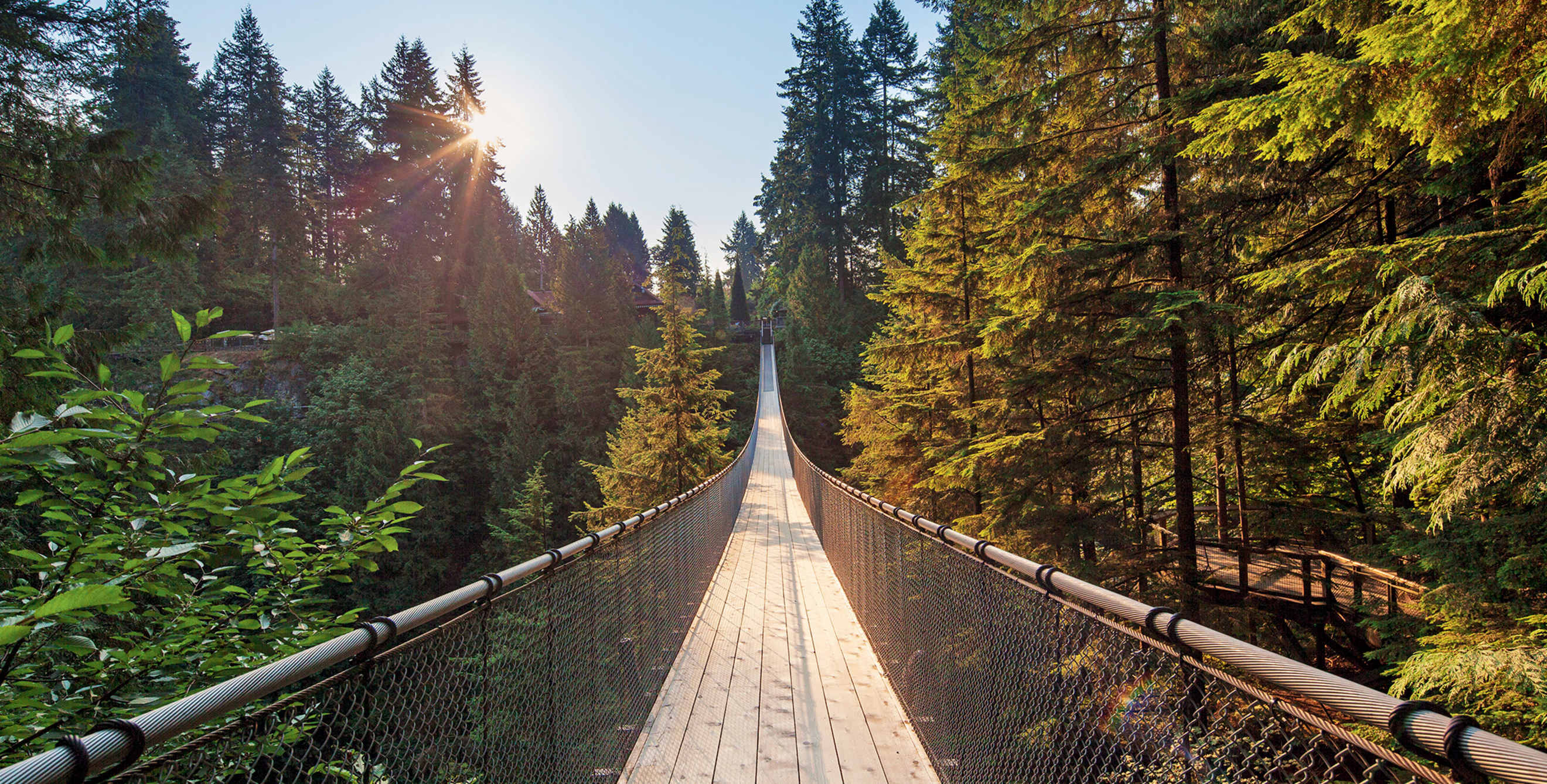 on bridge view across the span of Capilano Suspension Bridge in Vancouver, British Columbia, picture