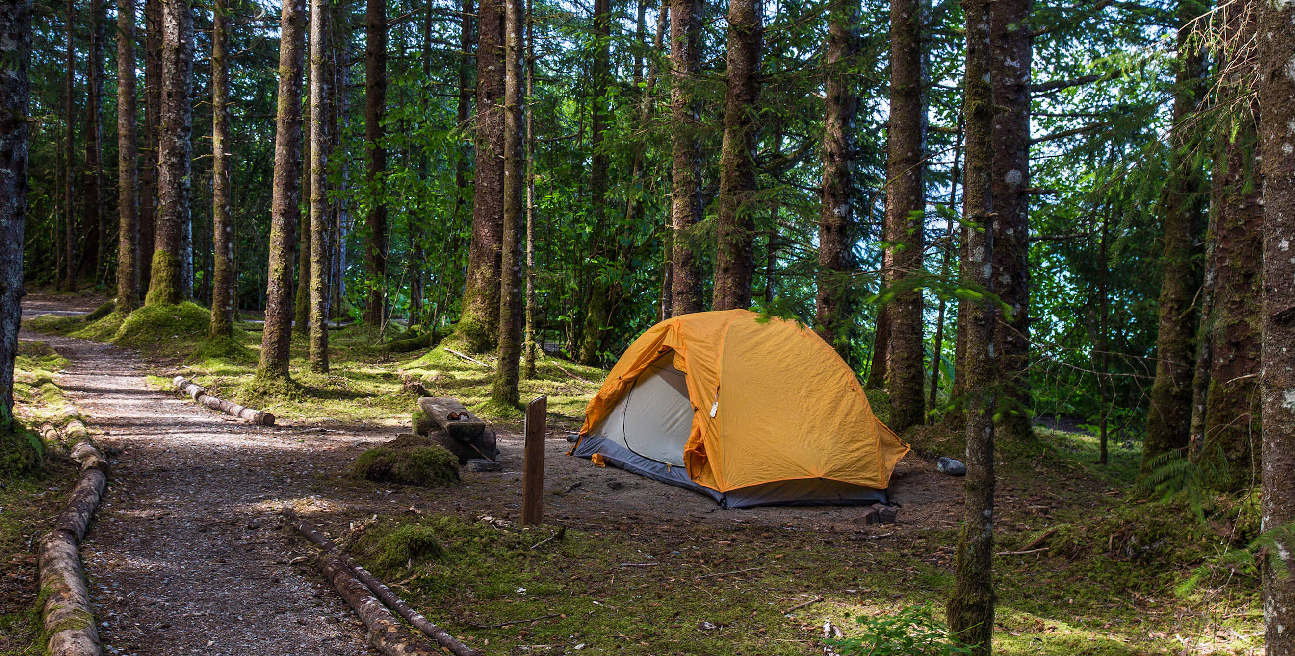 A tent set up in a campsite at Bartlett Cove Campground in Glacier Bay National Park in Alaska