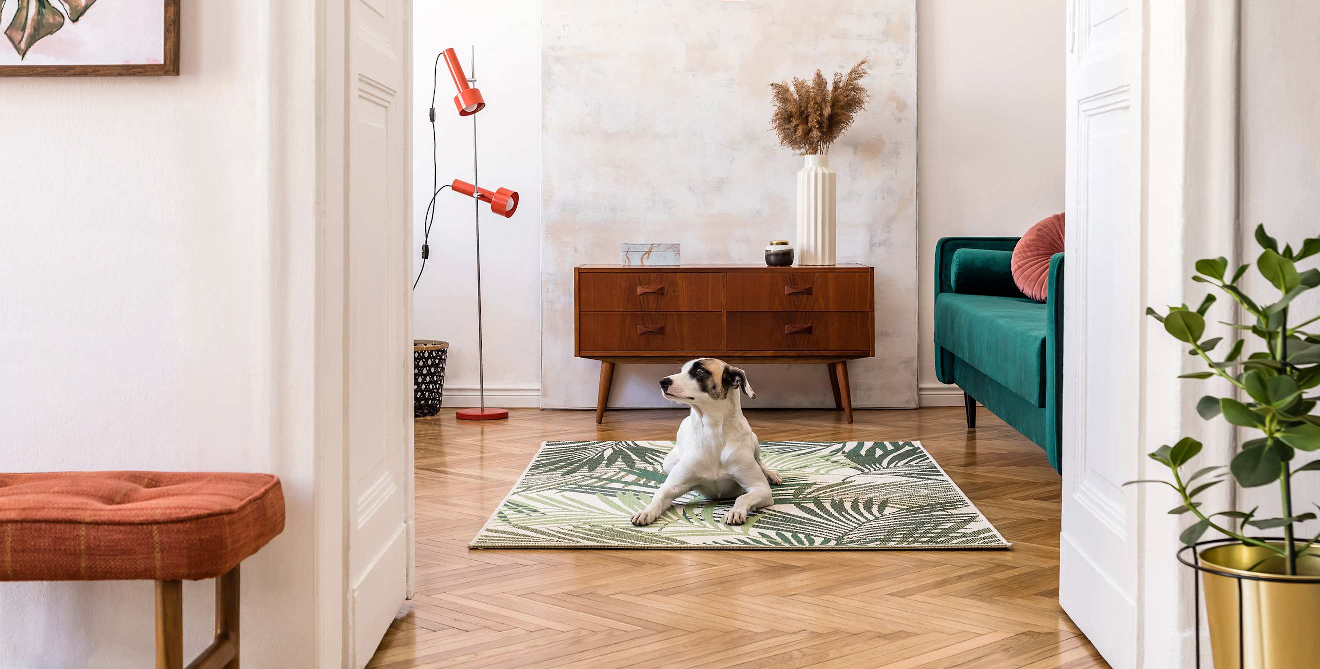 A dog lounges on a rug in a home that has been prepared for an earthquake.