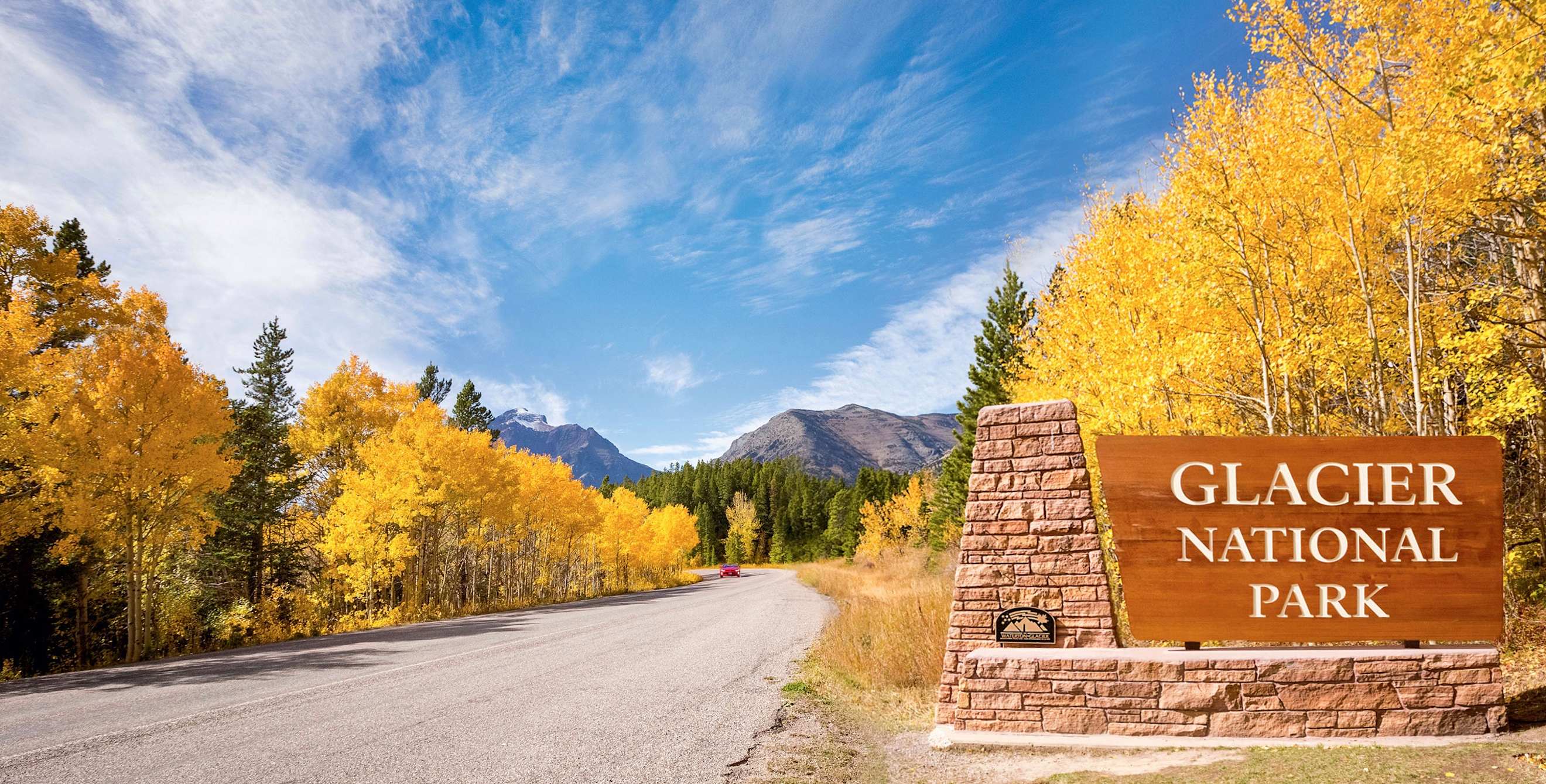 dramatic fall color in saturated yellow against tall pines and a deep blue sky and flagstone sign beside road greet visitors at Glacier National Park's west entrance in Montana