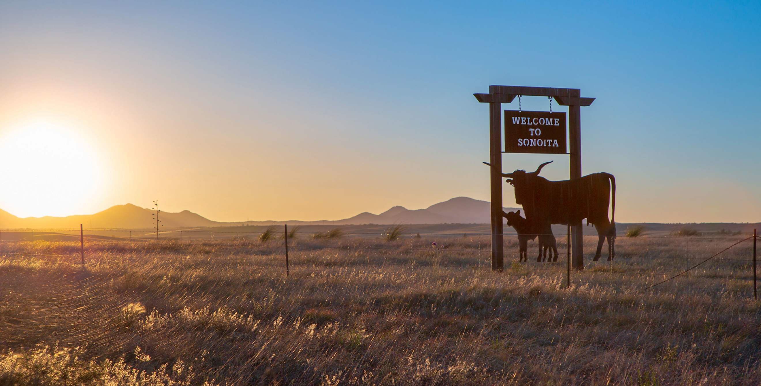 pair of steel longhorns welcomes travelers to Sonoita, Arizona, as sun sets in the background