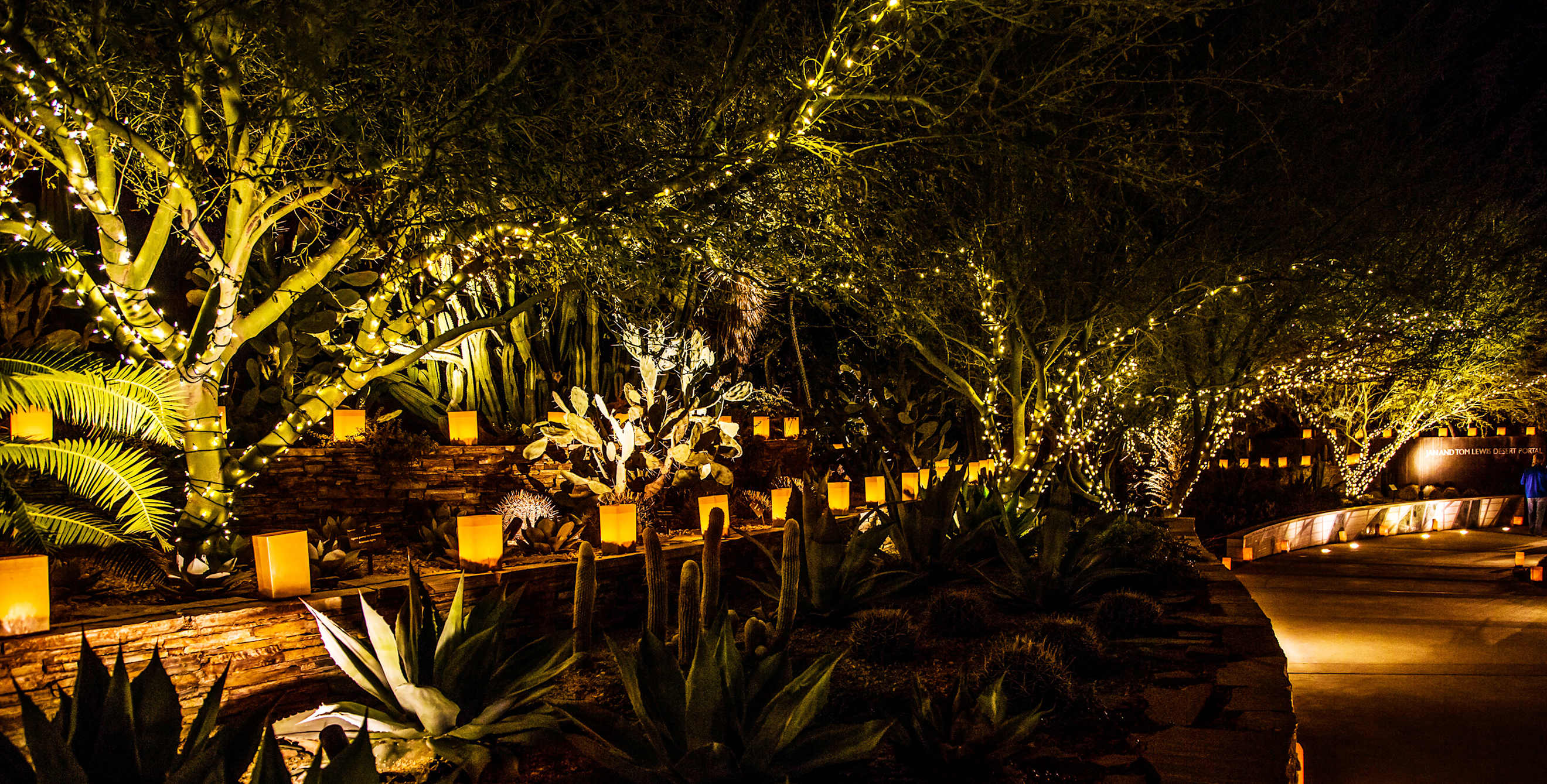 Flickering luminarias along a path in the Desert Botanical Garden in Phoenix