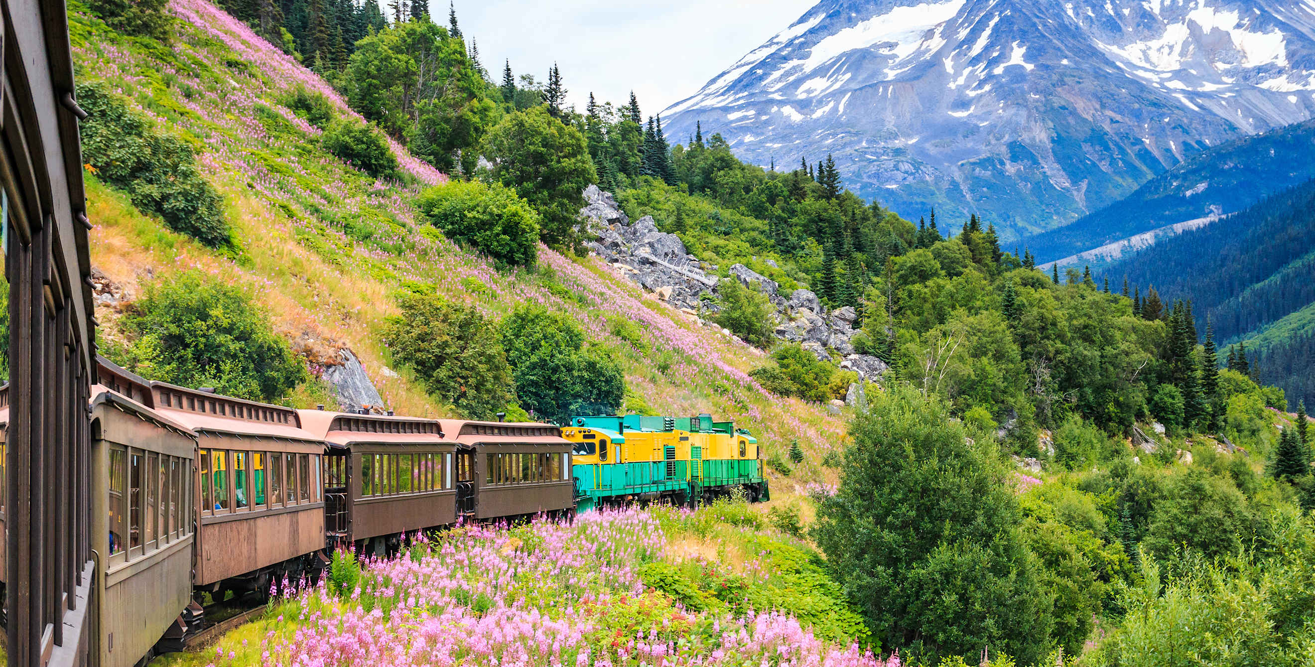 AAA Members ride a train through Alaska's wildflowers.