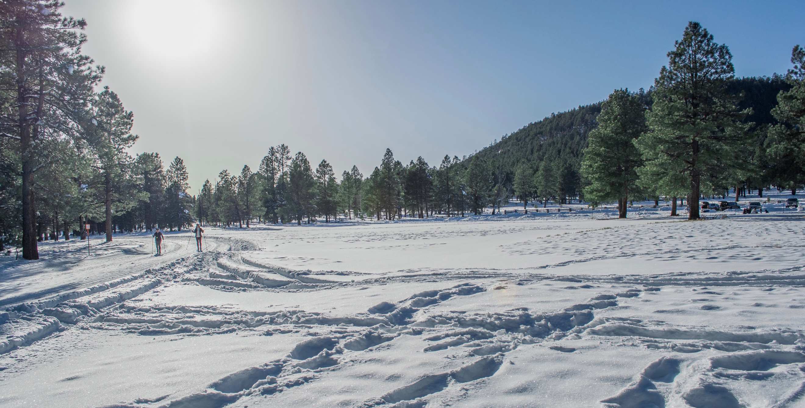 snowshoers leave tracks across white powder on a sunny day at Arizona Nordic Village in Flagstaff.