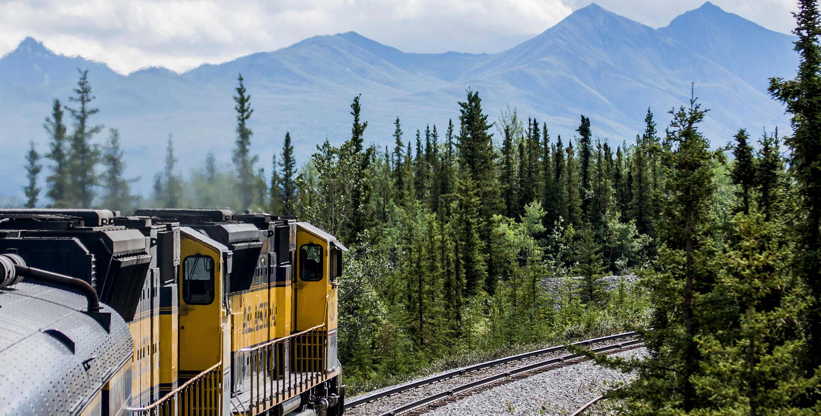Alaska railroad passing through spruce forest near Denali National Park