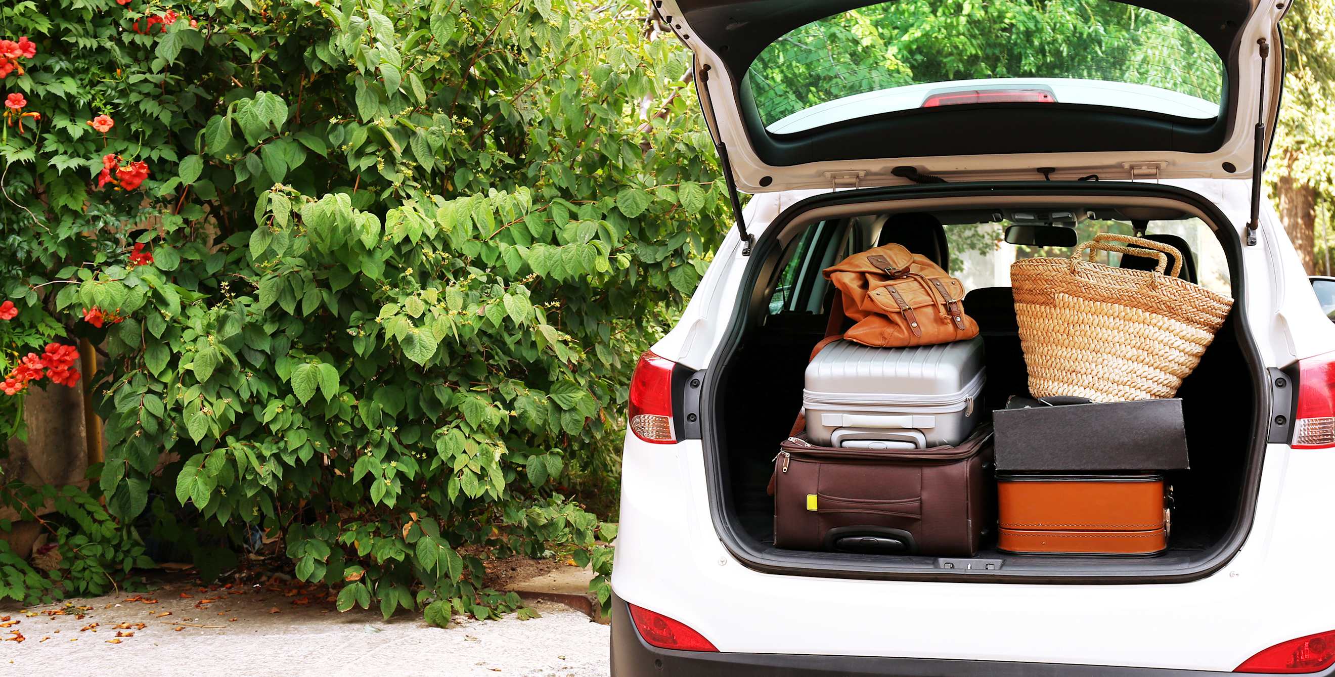 Luggage in the back of a rental car.