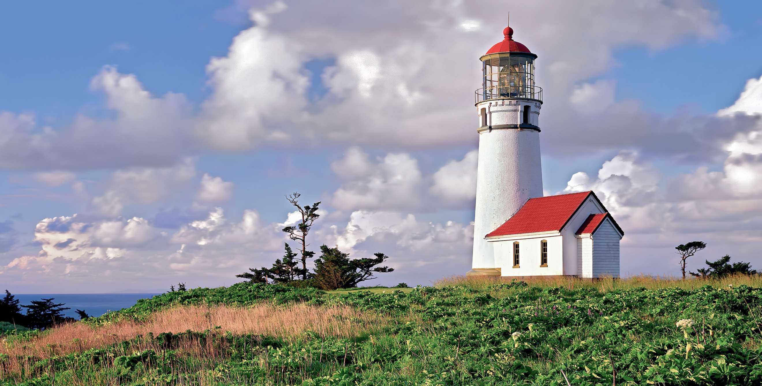 Cape Blanco lighthouse and wildflowers (lupine) with clouds in Port Orford, Oregon