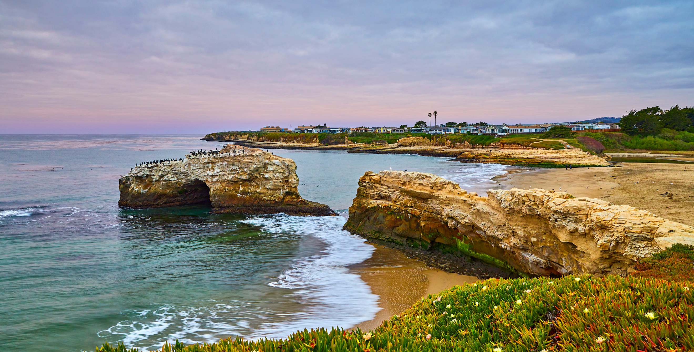 A purple sunset at Natural Bridges State Beach in Santa Cruz, California.