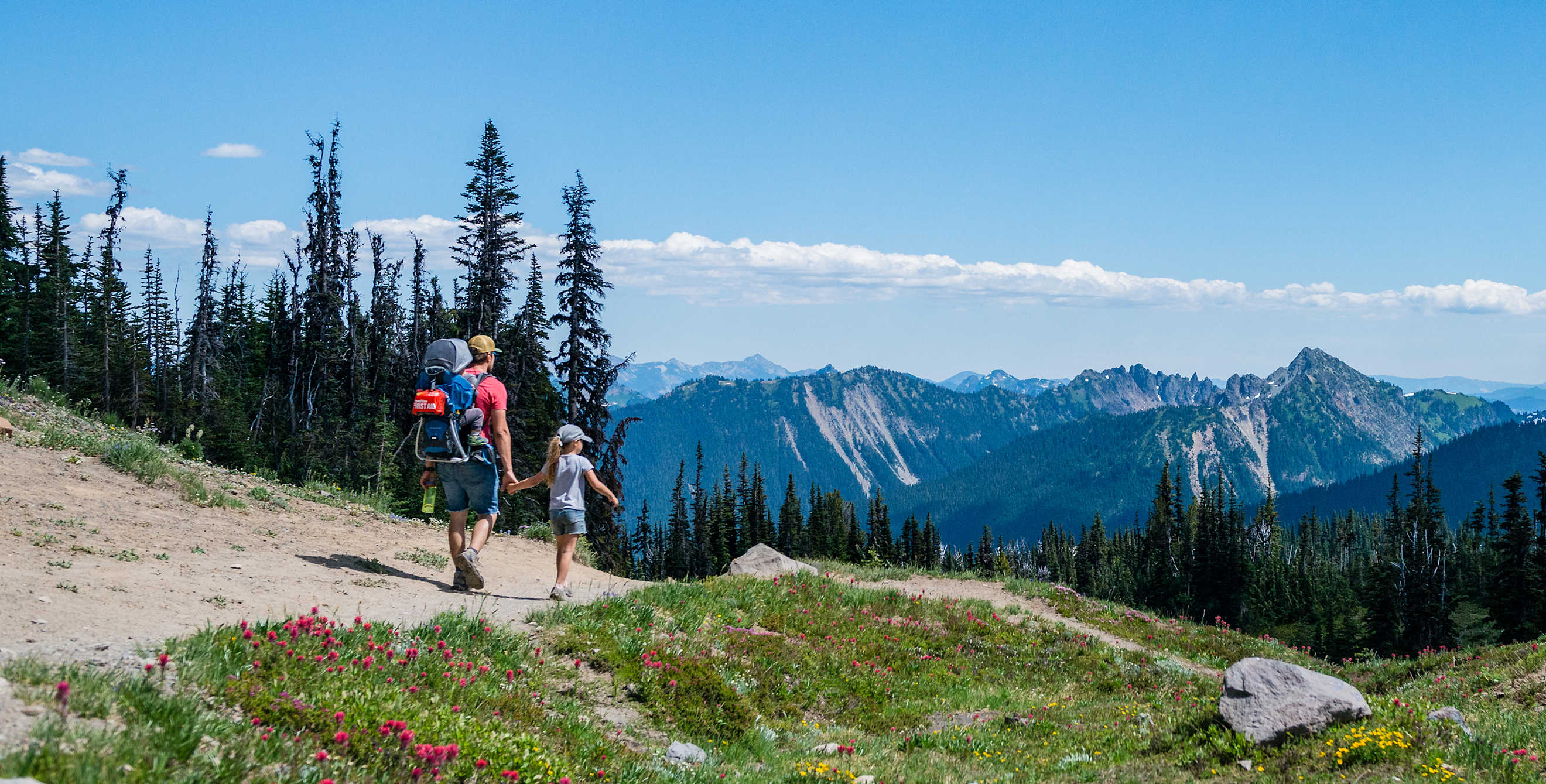 A family hikes in Mt. Rainier National Park.
