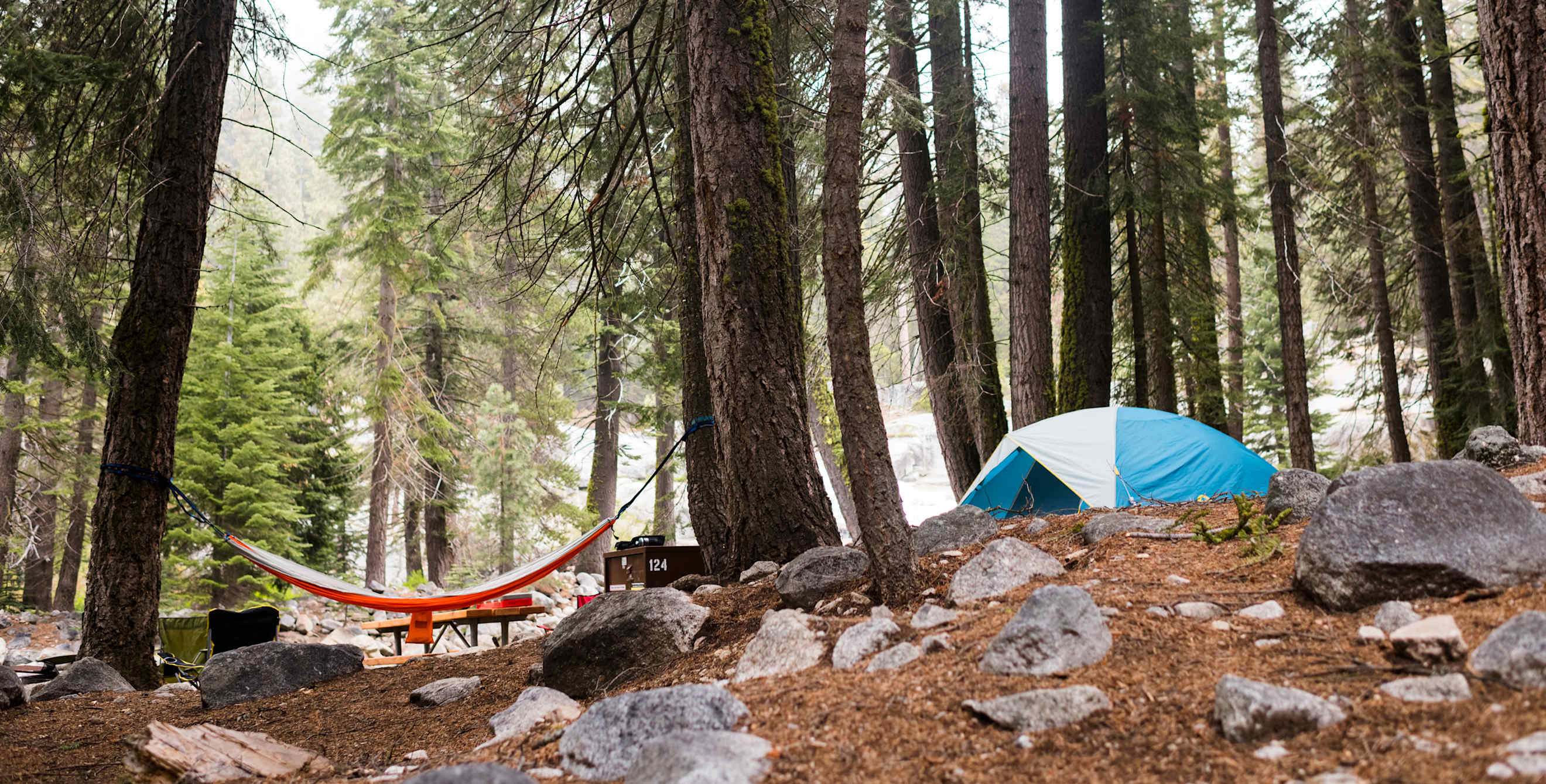 A tent and a hammock at a forest campsite in Kings Canyon National Park, California.