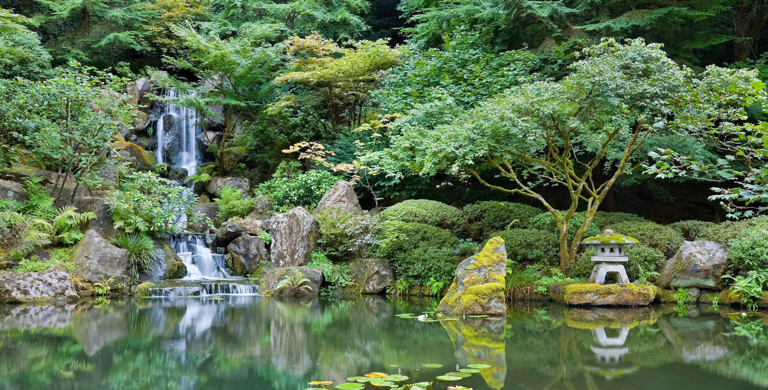 Pond at the Portland Japanese Garden.