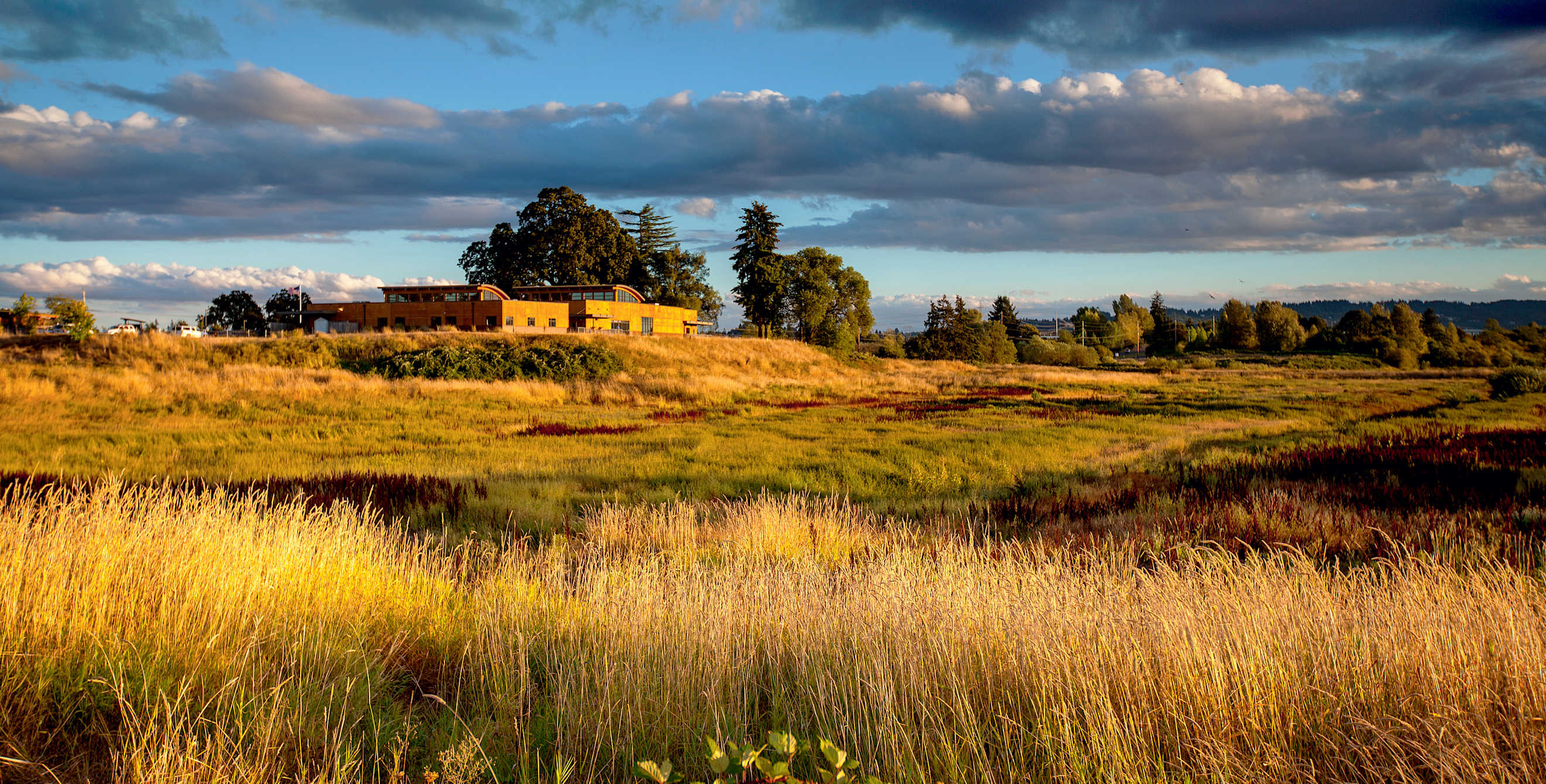 Golden sunlight illuminates the Tualatin River National Wildlife Refuge.