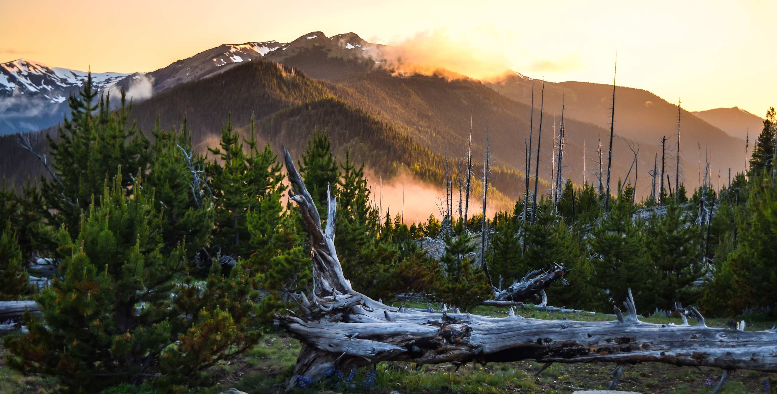 Sunset in Olympic National Park.