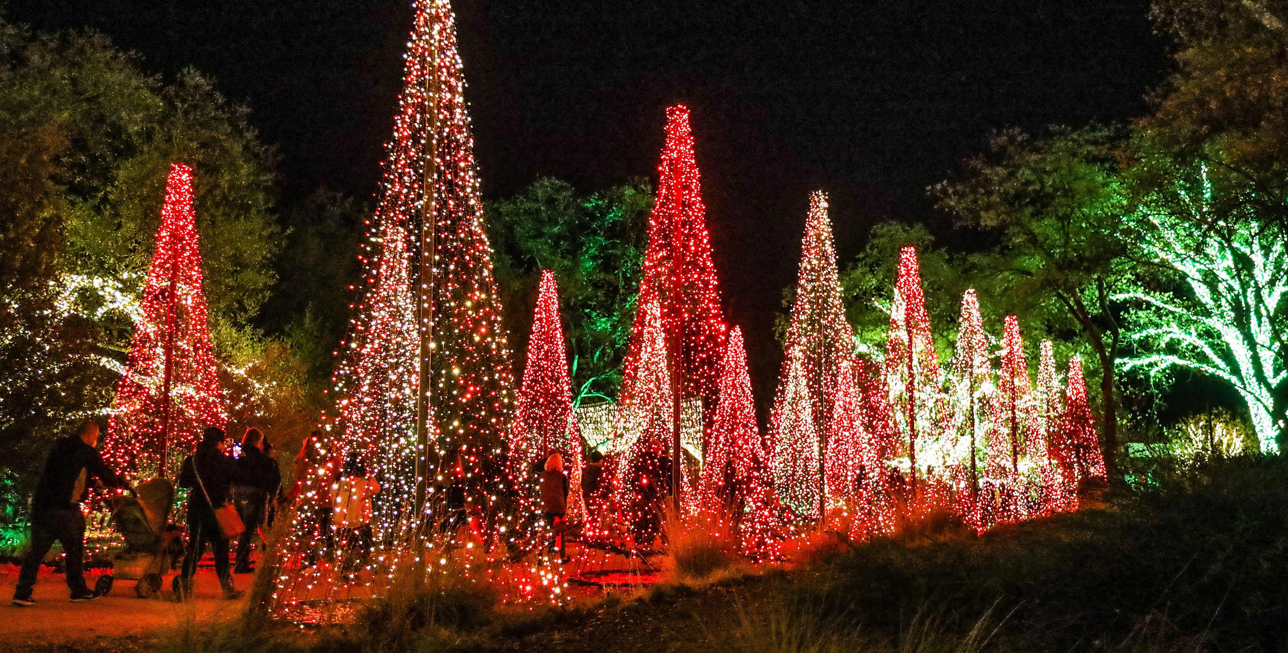Christmas tree holiday light display at Redding Garden of Lights.