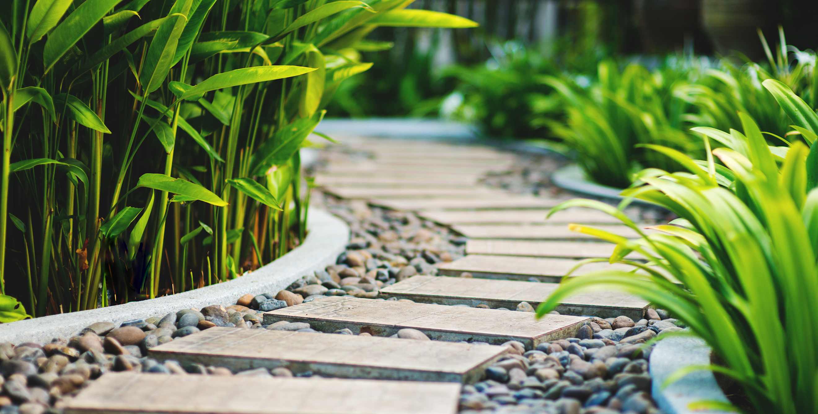 A rain permeable path cuts through a lush garden.