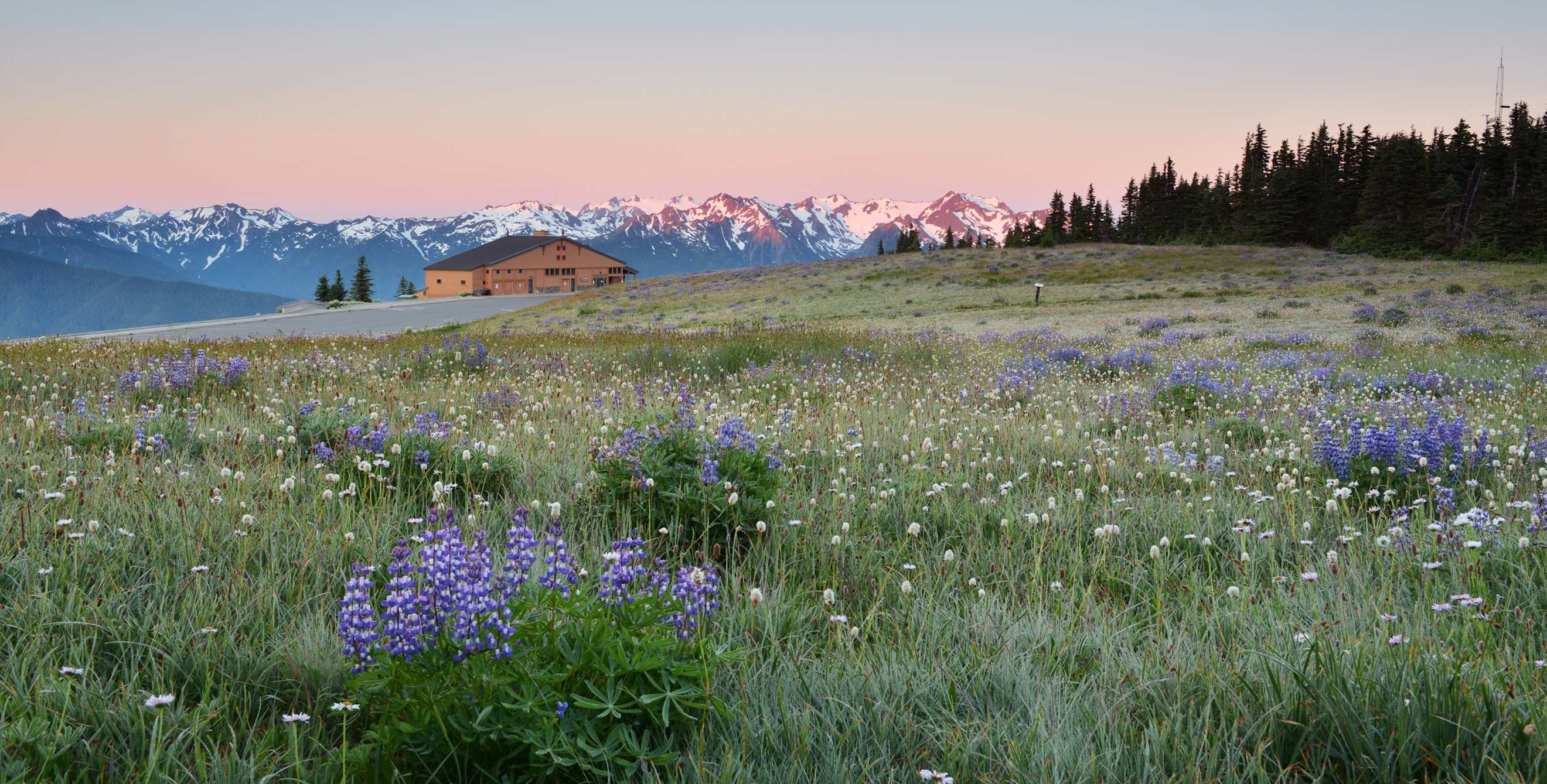 Sunrise at Hurricane Ridge in Olympic National Park, Washington.