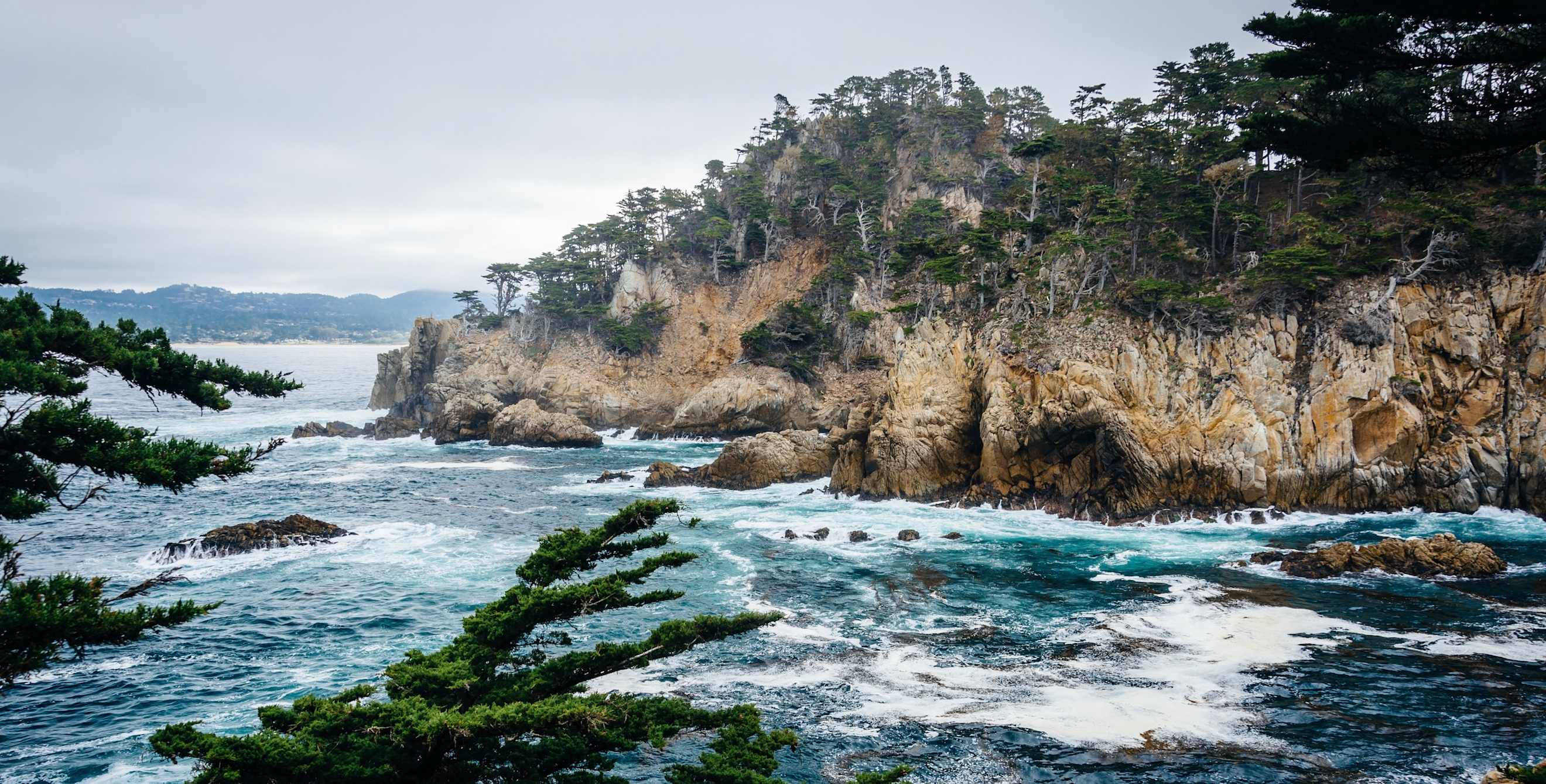 the coastline along point lobos state natural reserve near carmel, california