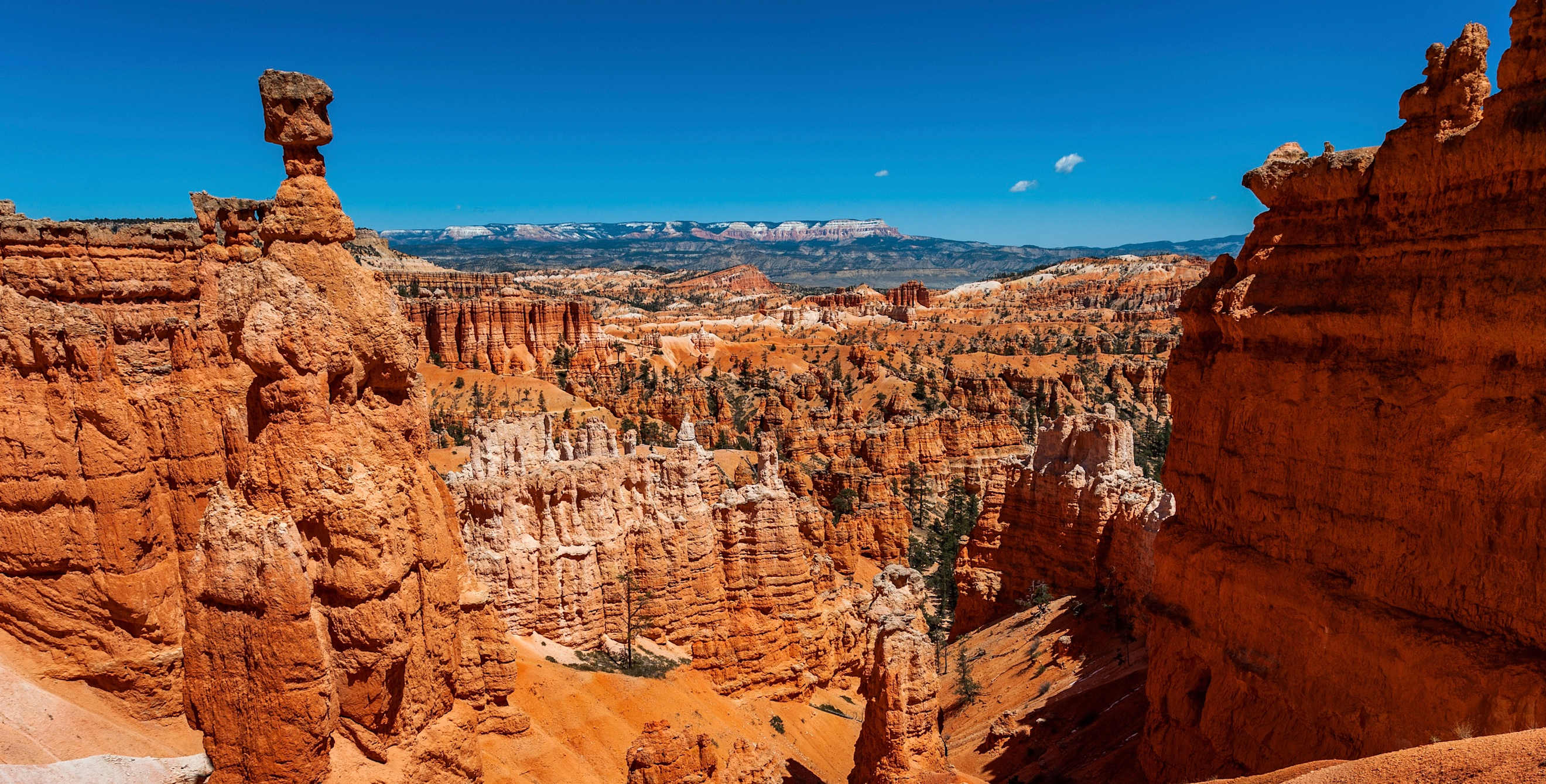 Thor's Hammer, hoodoo in Bryce Canyon National Park, Utah, picture