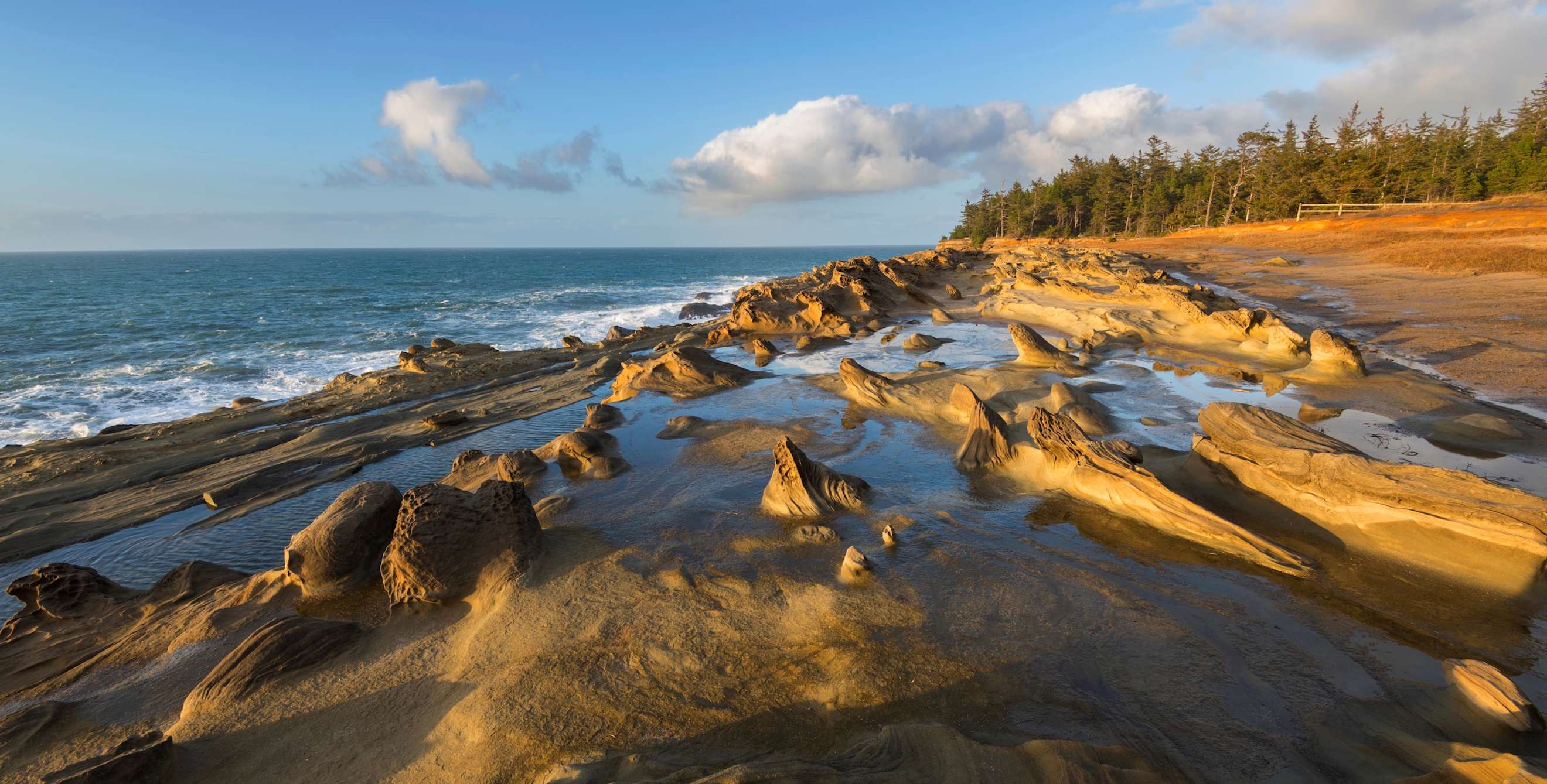shore acres state park near coos bay, oregon