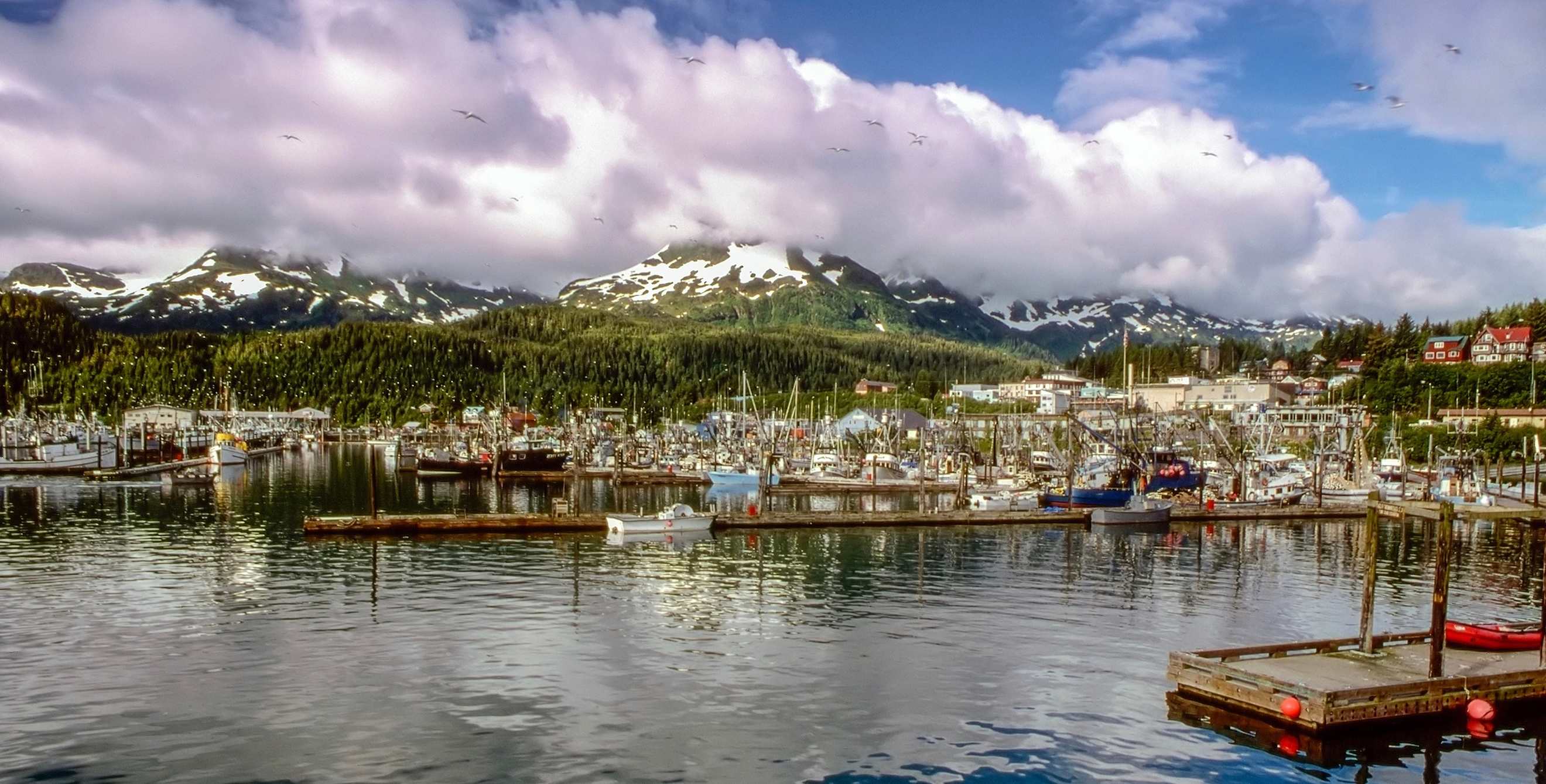 fishing boats in a harbor ringed by snowy mountains