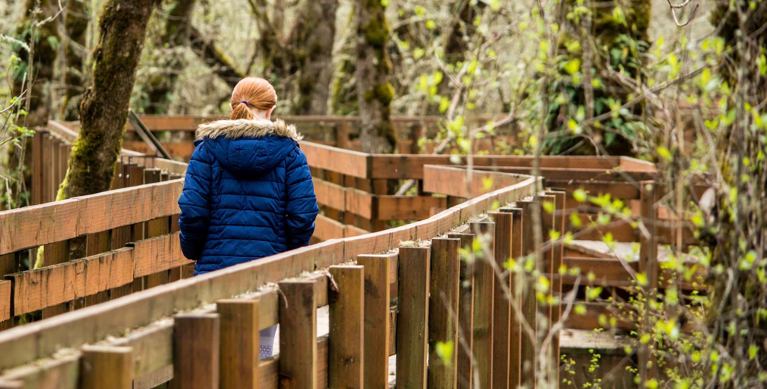 picture of a woman walking along the muddy creek boardwalk in the william l. finely wildlife refuge