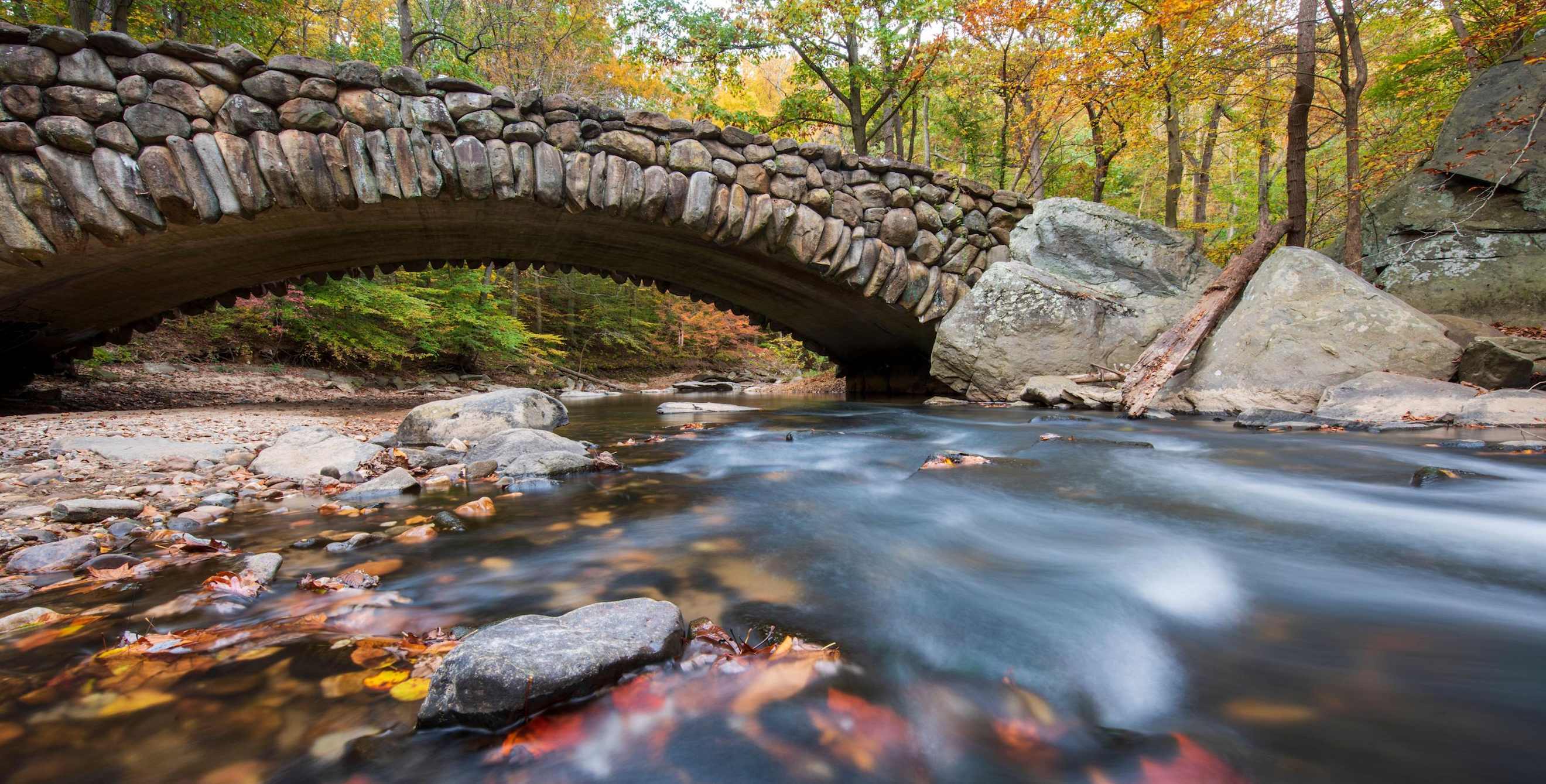Rock Creek Park in Washington, D.C.