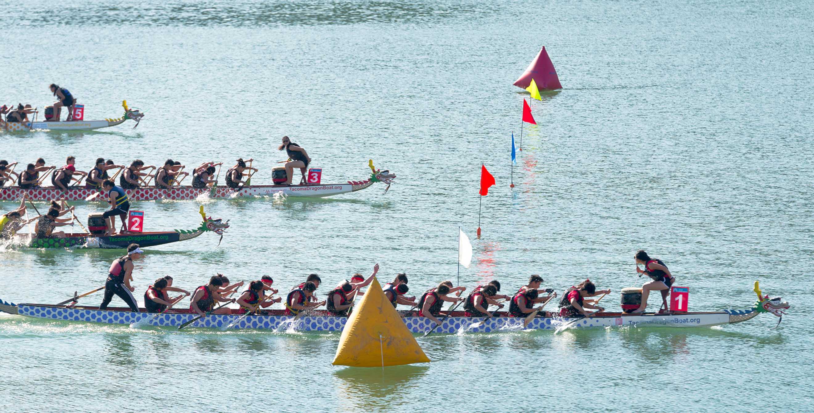 dragon boat race at the Northern California International Dragon Boat Festival in Oakland, California