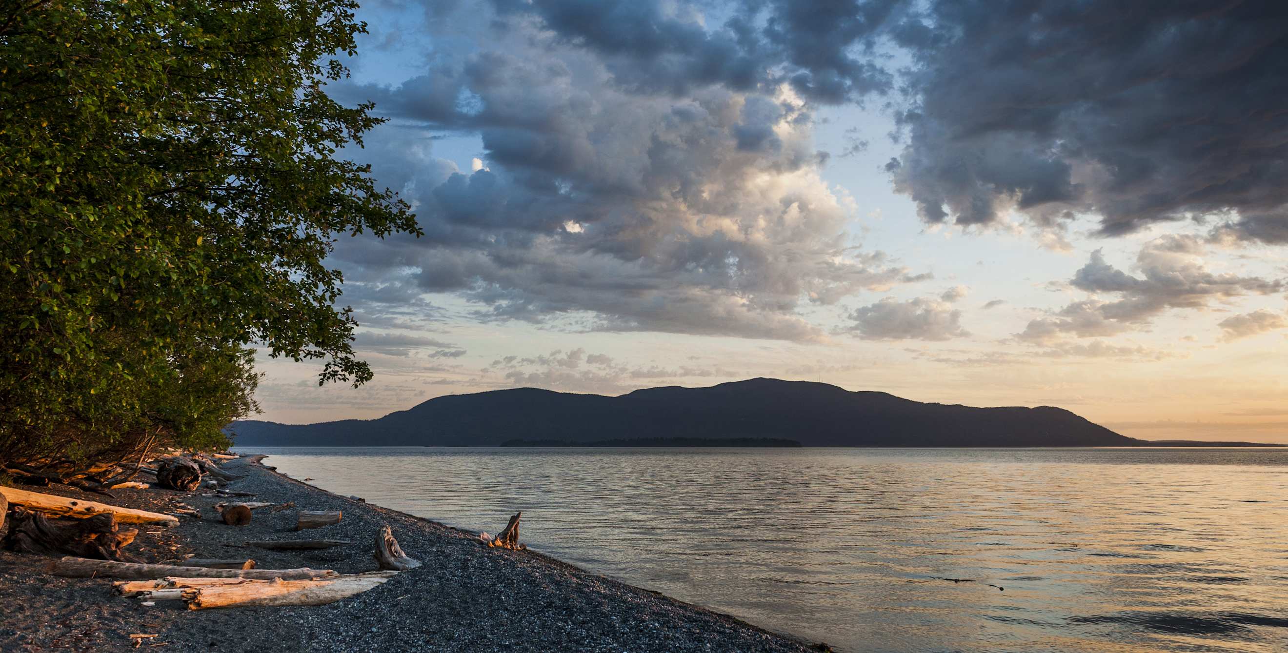 Trees on the shoreline of Orcas Island, Washington at sunset.
