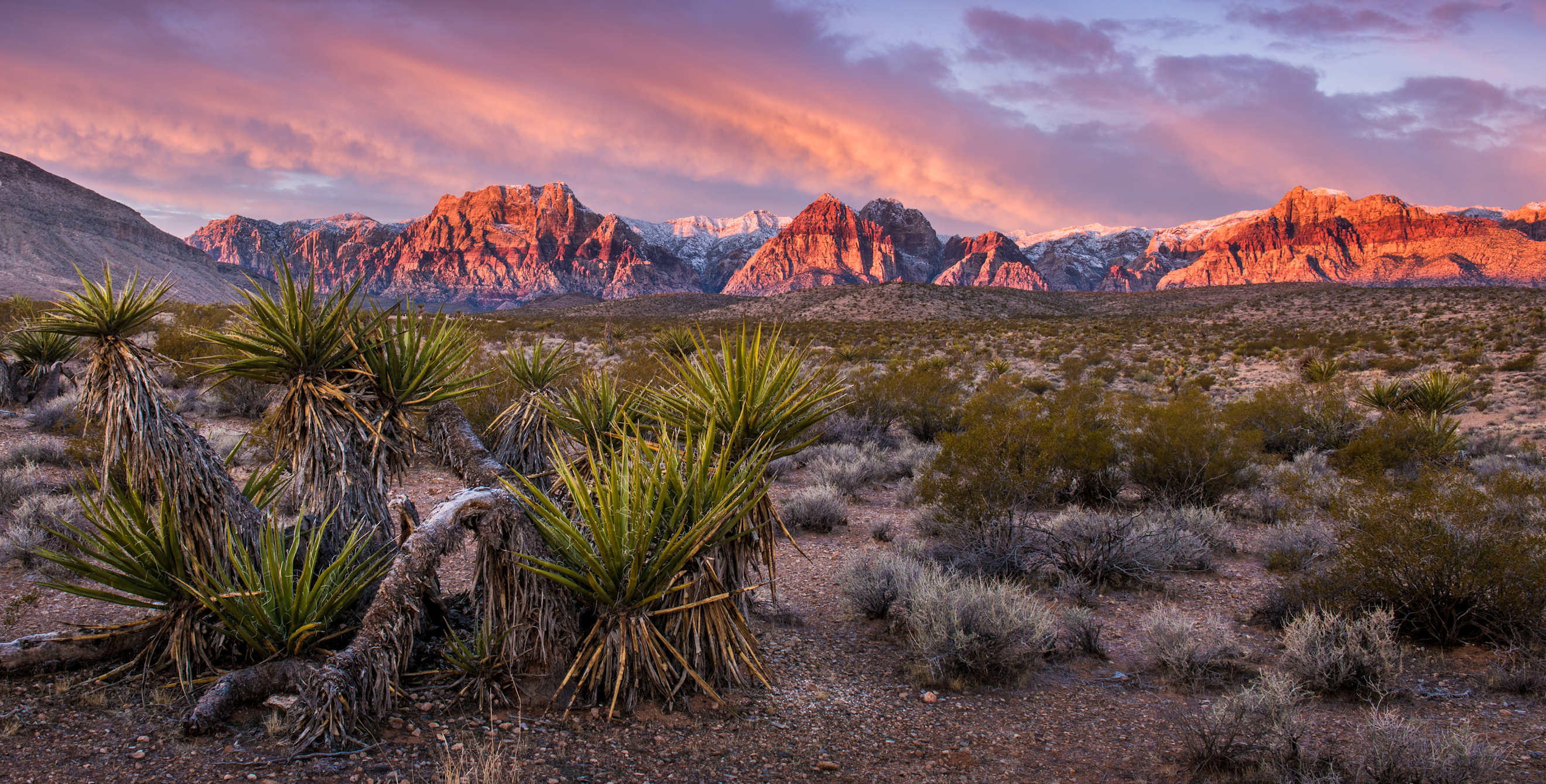 Sunrise lights up the rocks in Red Rock Canyon in Nevada on a winter morning.