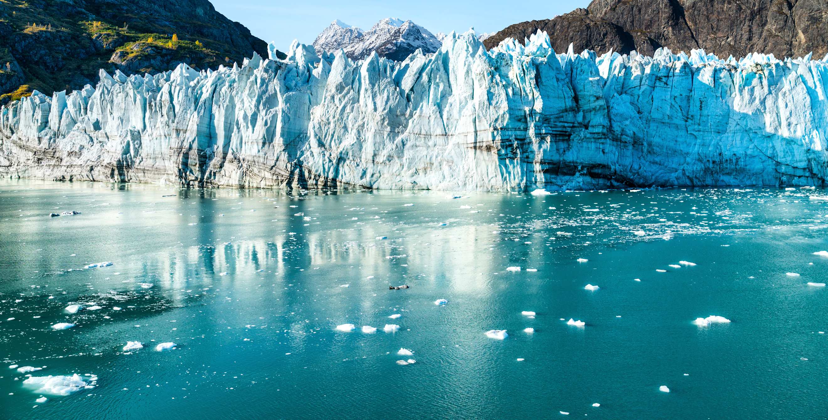 Johns Hopkins Glacier on a clear day as seen from the water below.
