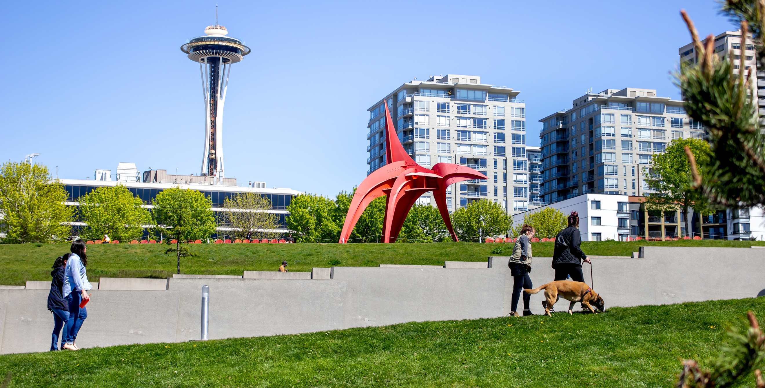 The Eagle in the Olympic Sculpture Park in Seattle, Washington