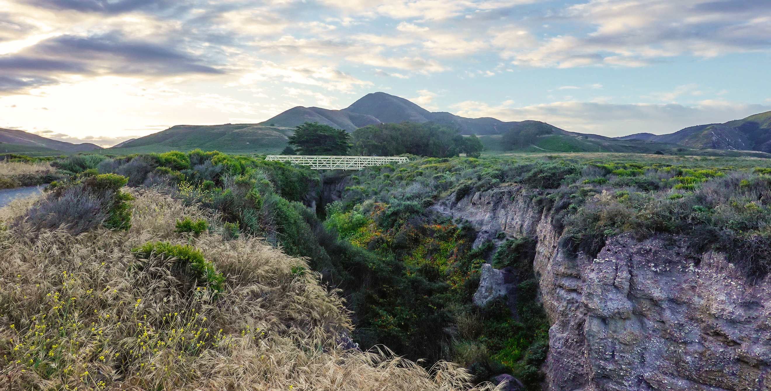Valencia peak rising from the coastline in Montana de Oro State Park, California.