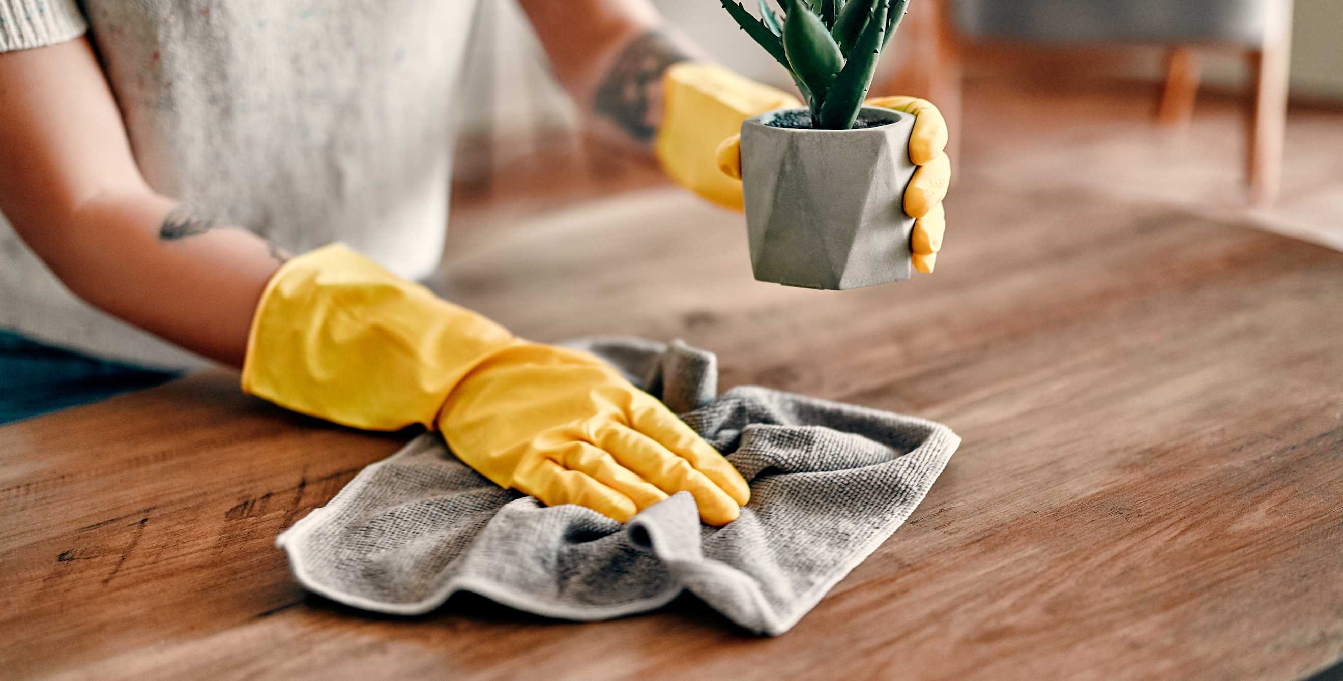 A person moves a small succulent and dusts their coffee table.