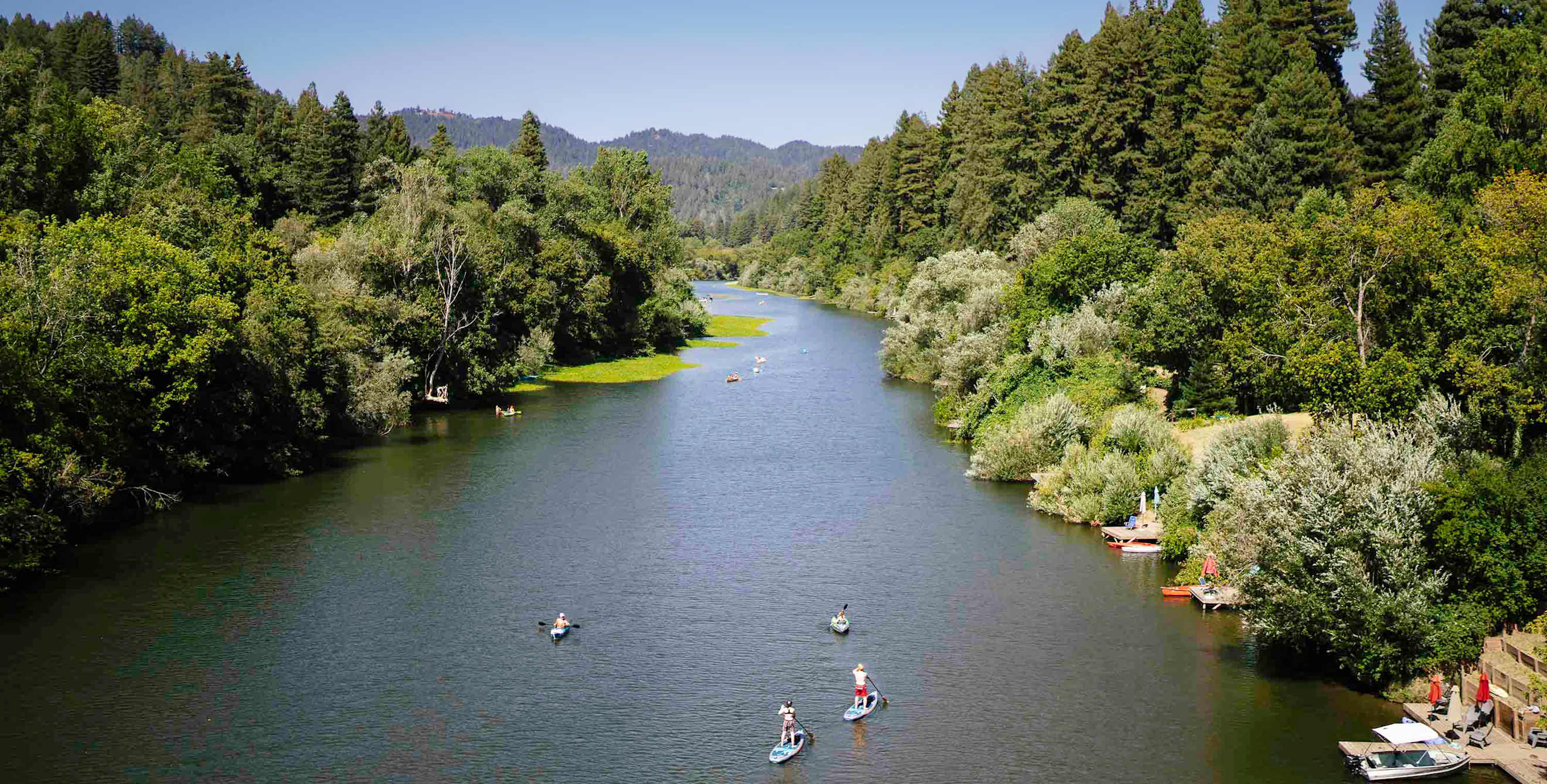 Paddle boarders on the tree-lined Russian River near Johnson's Beach.